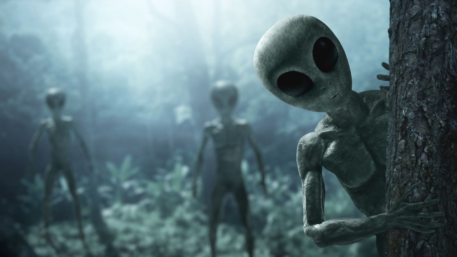 1600x901 Where Did The Grey Alien Imagery Come From?