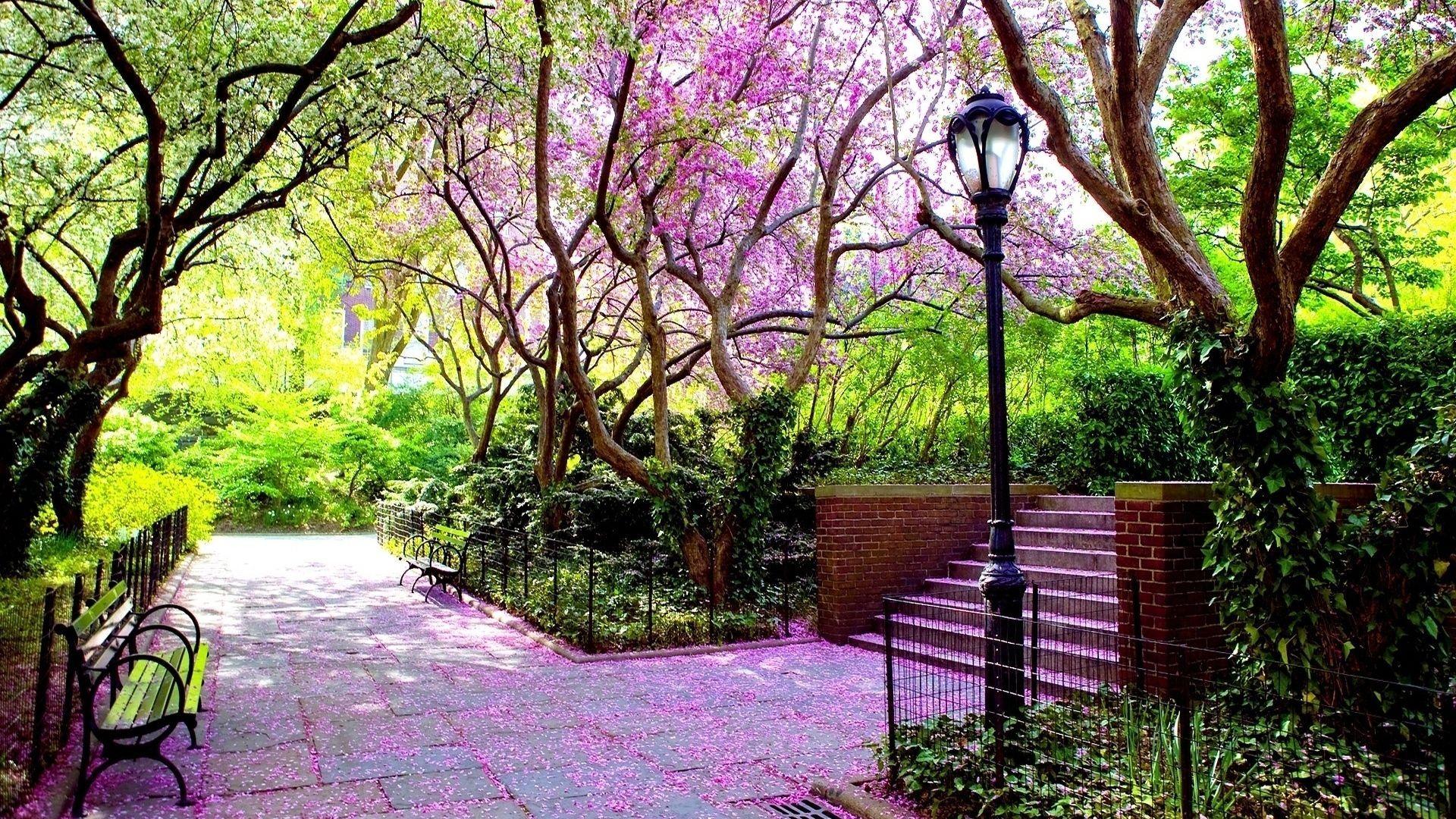 1920x1080 Lovely Garden HD Wallpaper [1920x1080] via Classy Bro