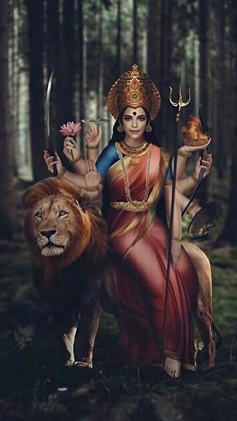 800x1423 Sikotar Maa, Sitting On Lion, sikotar maa sitting on lion, goddess, bhakti, HD phone wallpaper