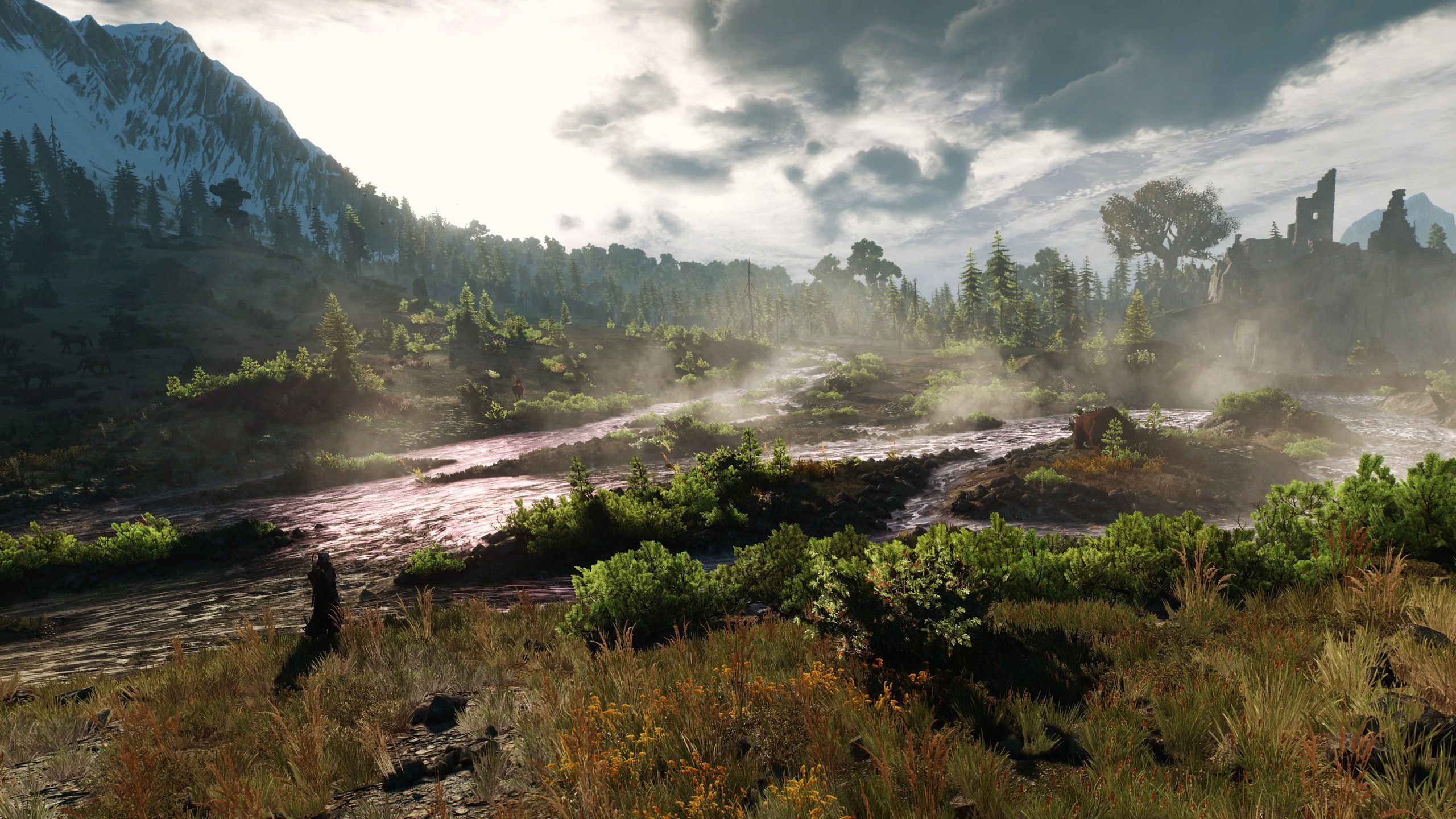 2560x1440 Wallpaper The Witcher, The Witcher 3 Wild Hunt, Ious for mobile and desktop, section игры, resolution 2560x1440