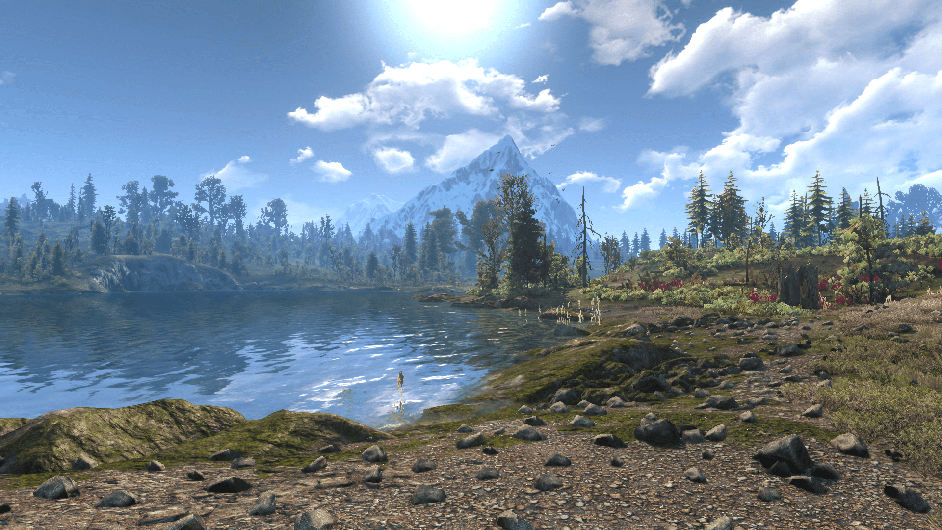 1920x1080 The Witcher 3 HD Wallpaper: Serene Wild Hunt Landscapex1080