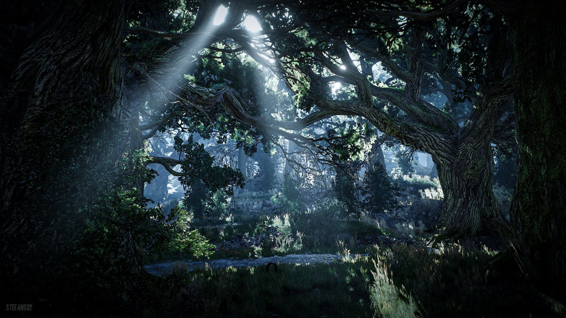 1920x1080 The Witcher 3: Wild Hunt / Skellige Forest