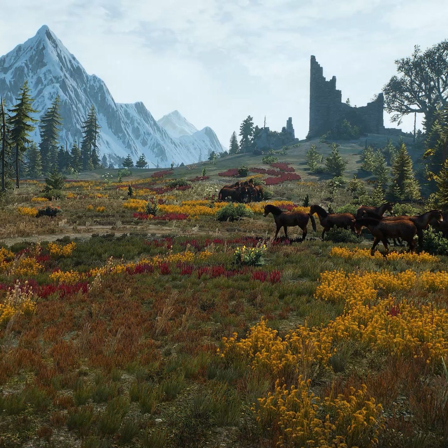 1440x1440 Steam Workshop::The Witcher 3 Rannvaig 1440p