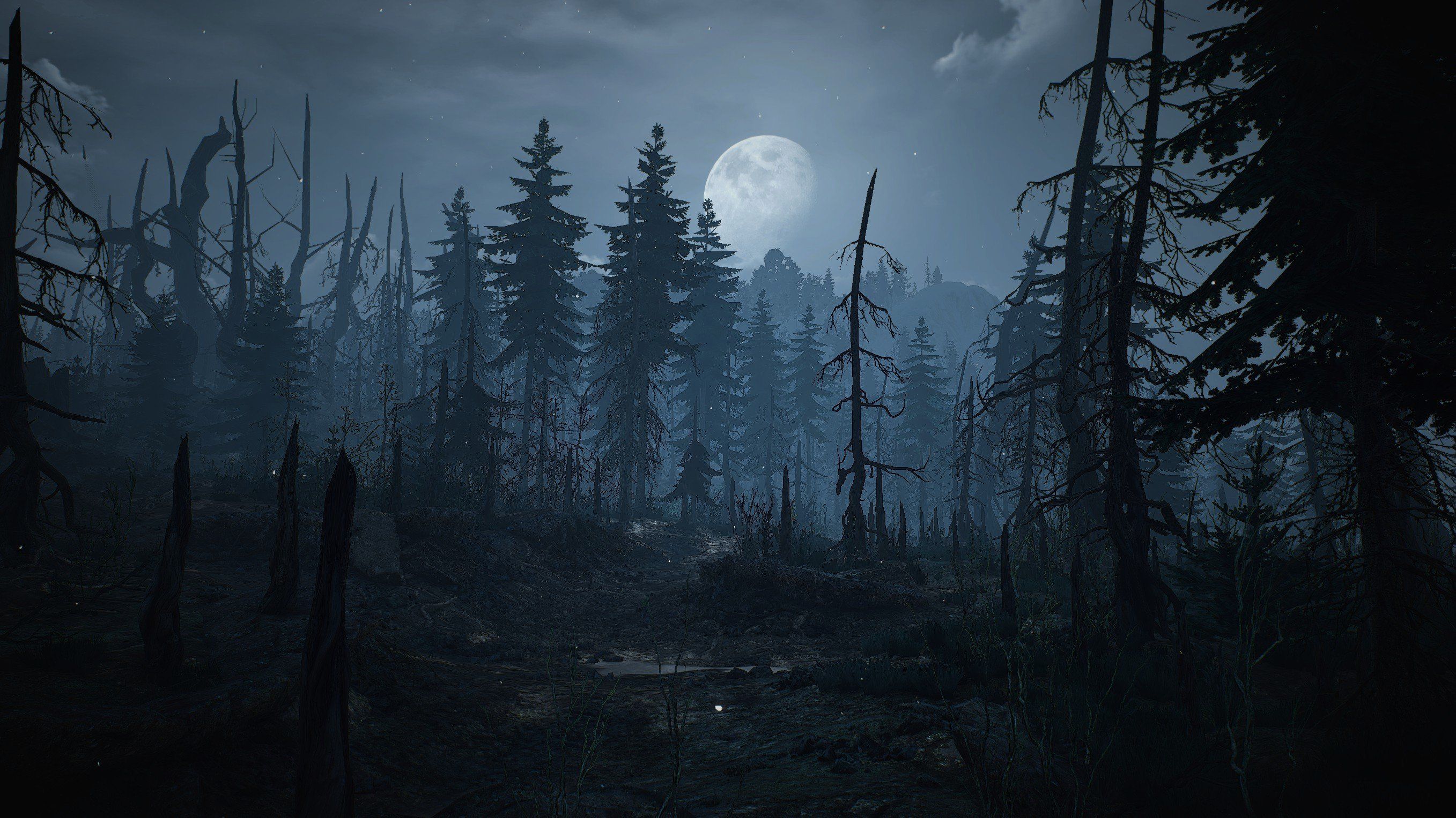 2715x1527 the, Witcher, Wild, Hunt, Skellige Wallpaper HD / Desktop and Mobile Background