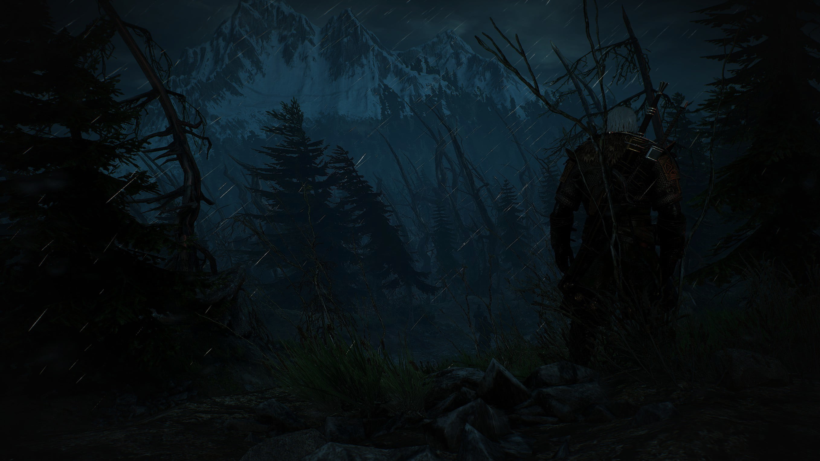 2715x1527 White and black floral textile, The Witcher 3: Wild Hunt, Skellige HD wallpaper