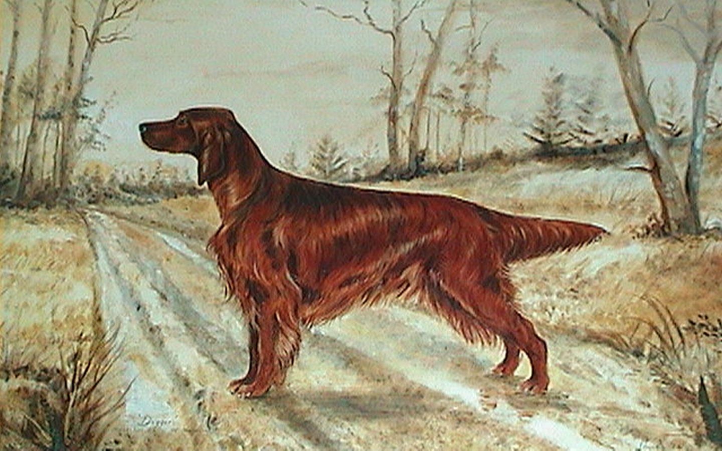 1440x900 Drawn Irish Setter photo and wallpaper. Beautiful Drawn Irish Setter picture