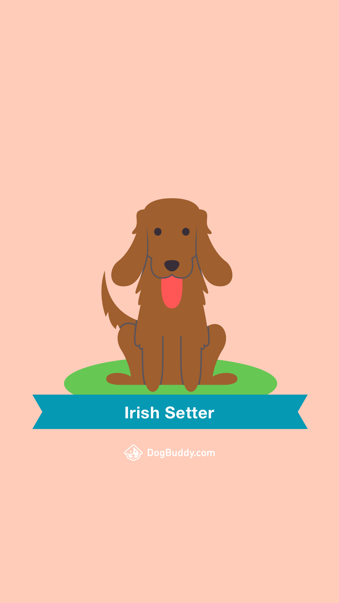 1080x1920 Woofpaper: Irish Setter