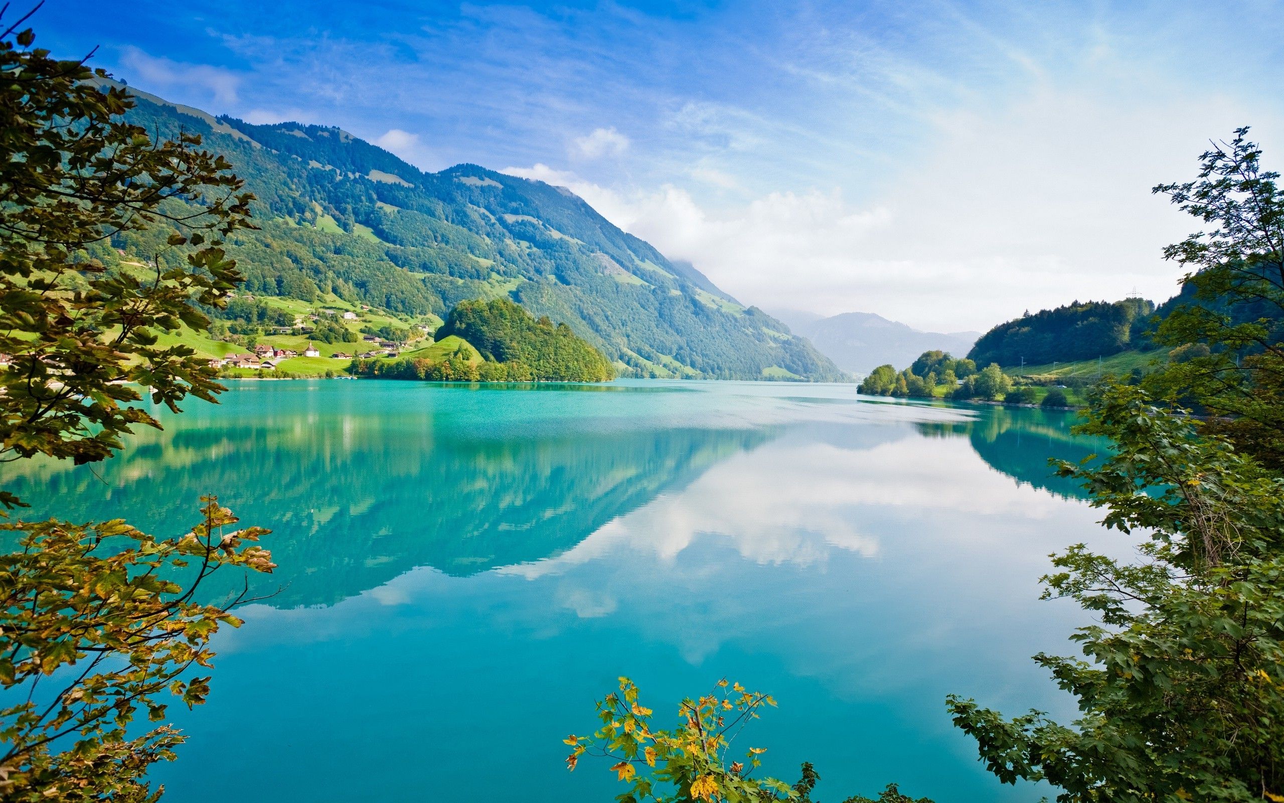 2560x1600 photography, Nature, Water, Landscape, Lake, Plants, Trees Wallpaper HD / Desktop and Mobile Background