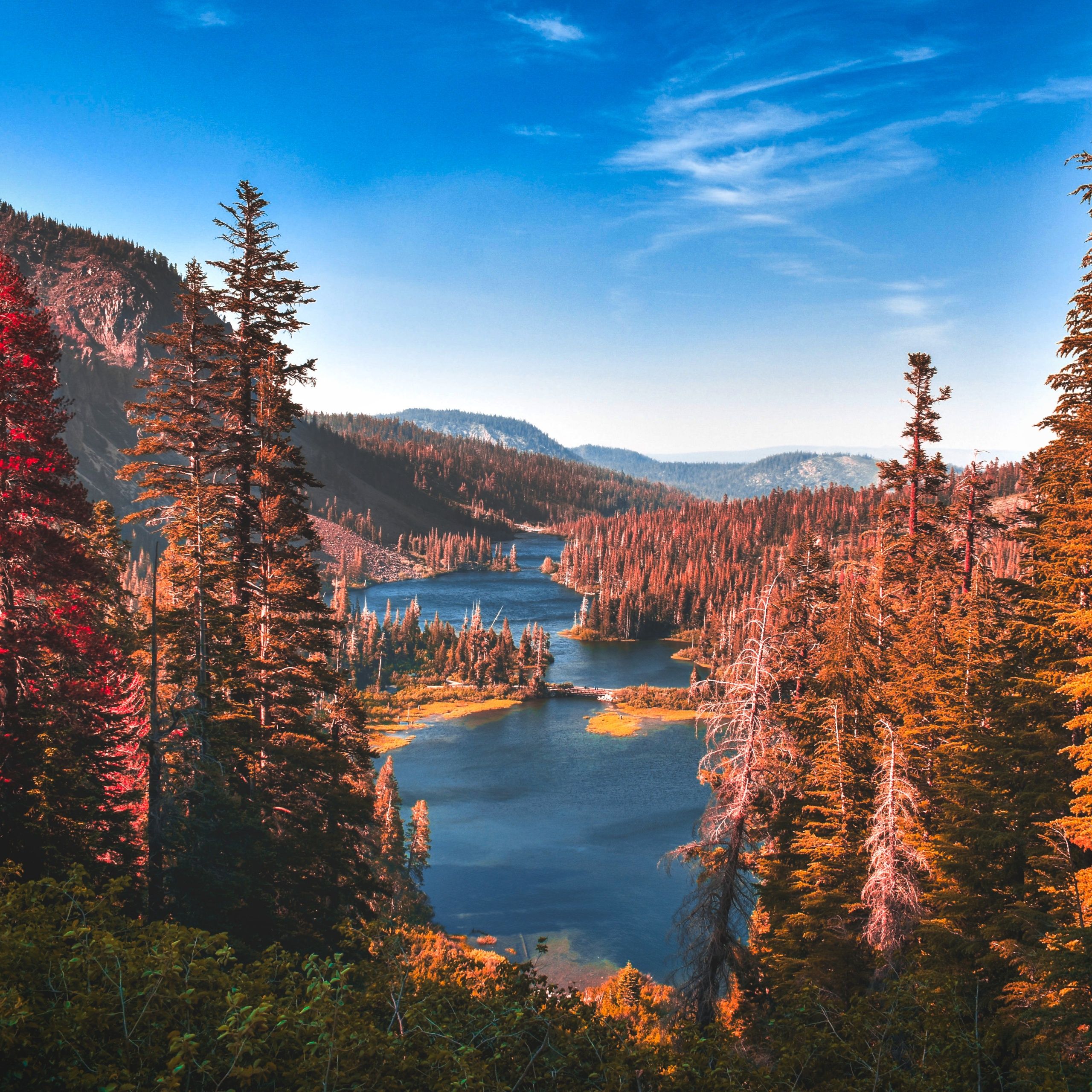 2560x2560 Yosemite National Park Wallpaper 4K, River, Forest, Autumn