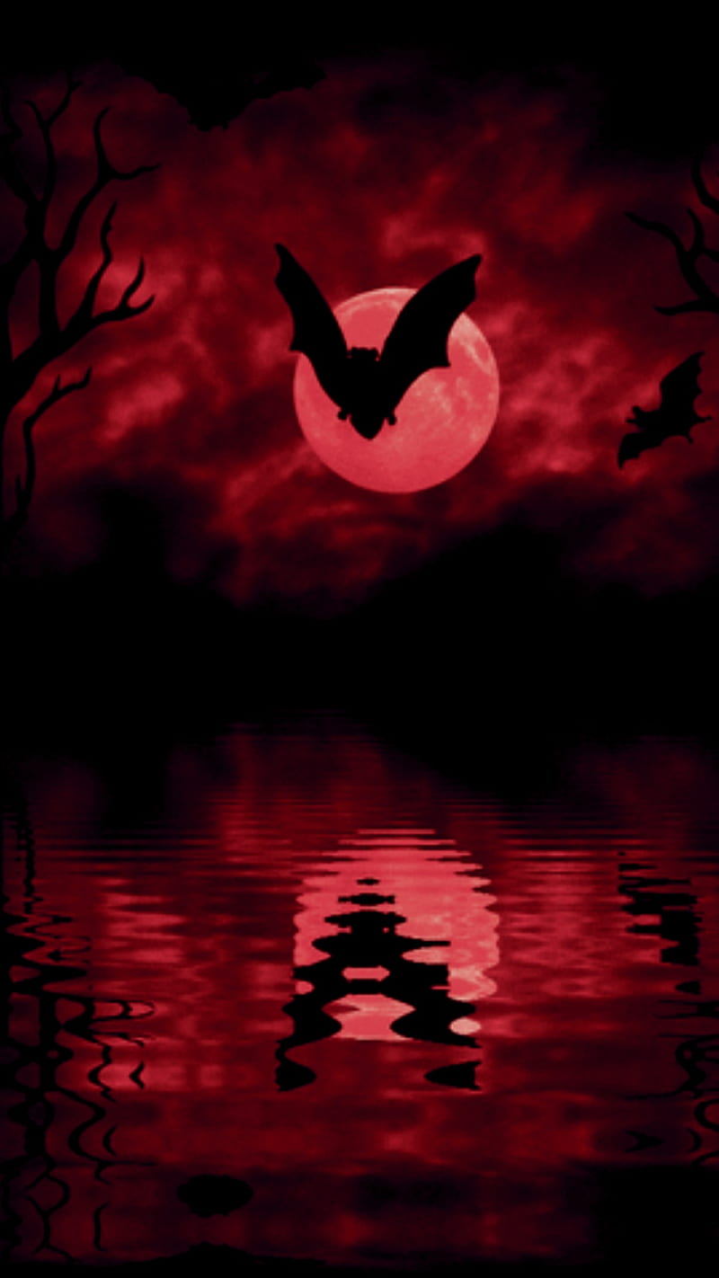 800x1422 Red eve, bat, halloween, night, red river, sunsets, twilight, HD phone wallpaper