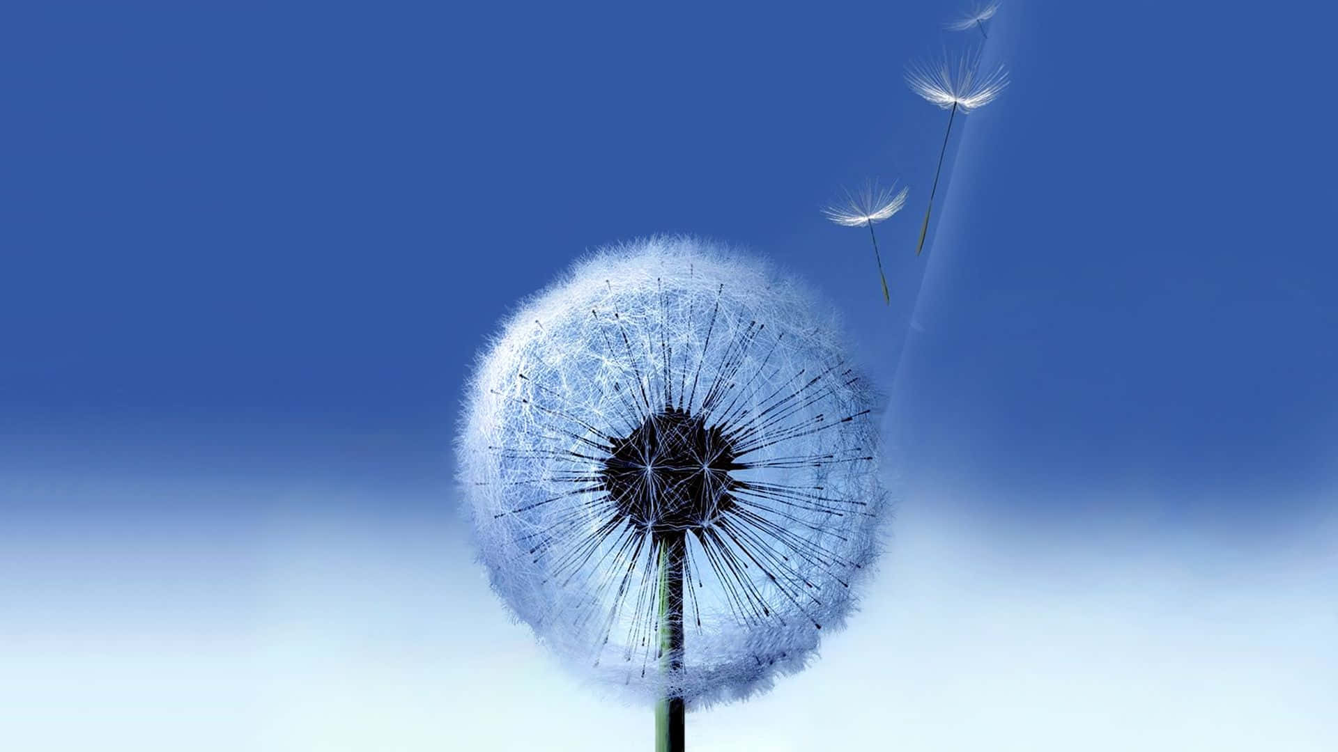 1920x1080 Best Samsung Galaxy Wallpaper