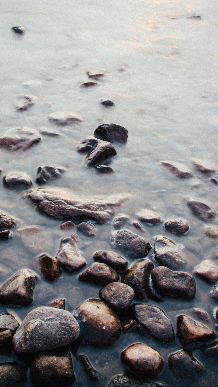 736x1308 Blueberry Phone Wallpaper. Old samsung wallpaper, Wet rocks wallpaper, Smartphone wallpaper