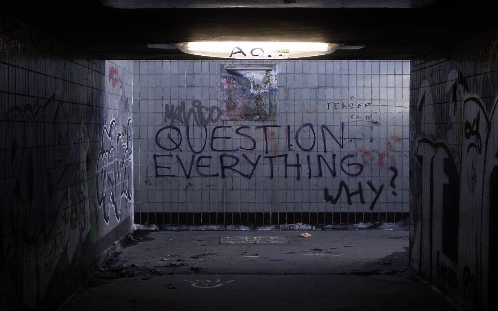 1680x1050 HD Wallpaper: Question Everything in Artistic Graffitix1050