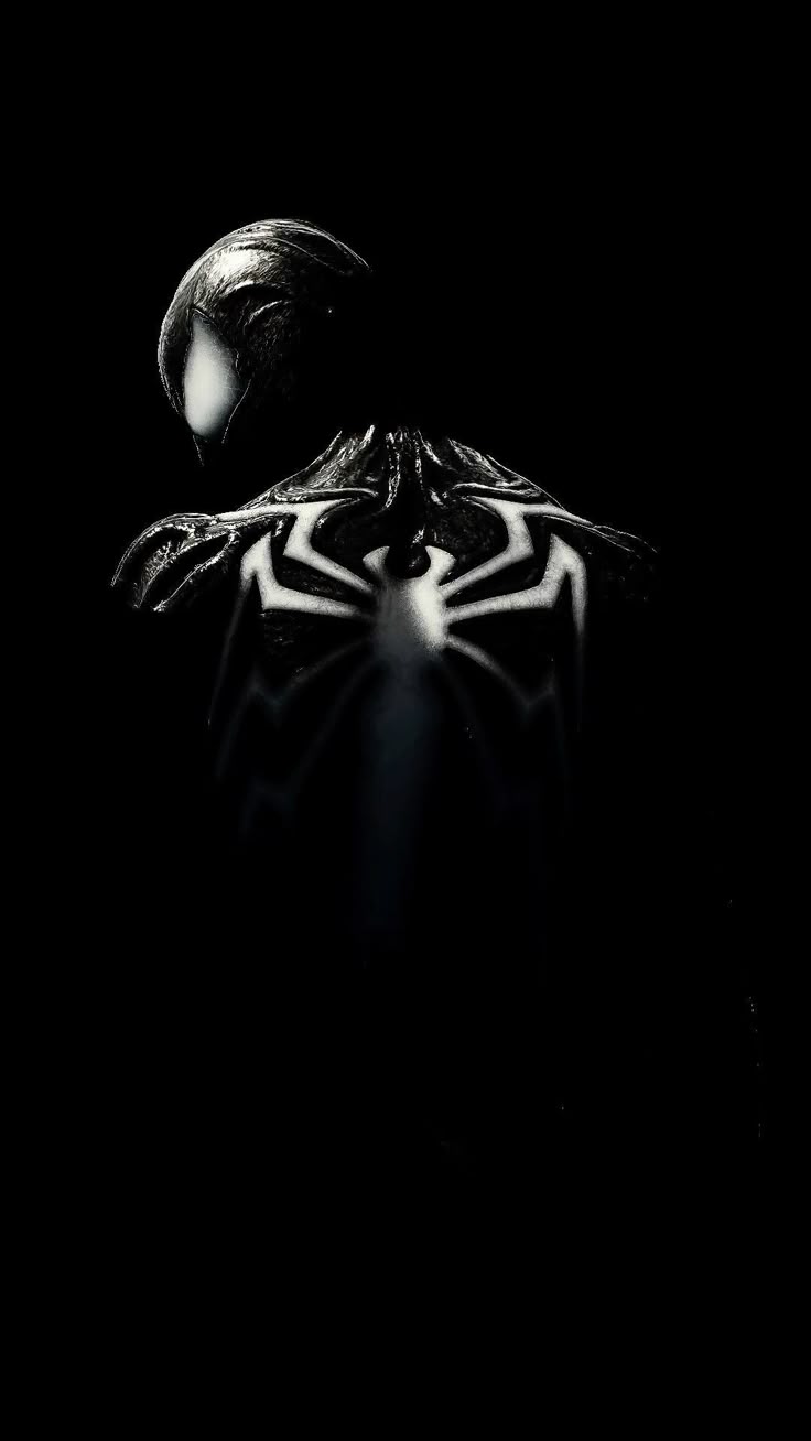 736x1308 spiderman wallpaper. black spiderman. iphone wallpaper. ios. black and white