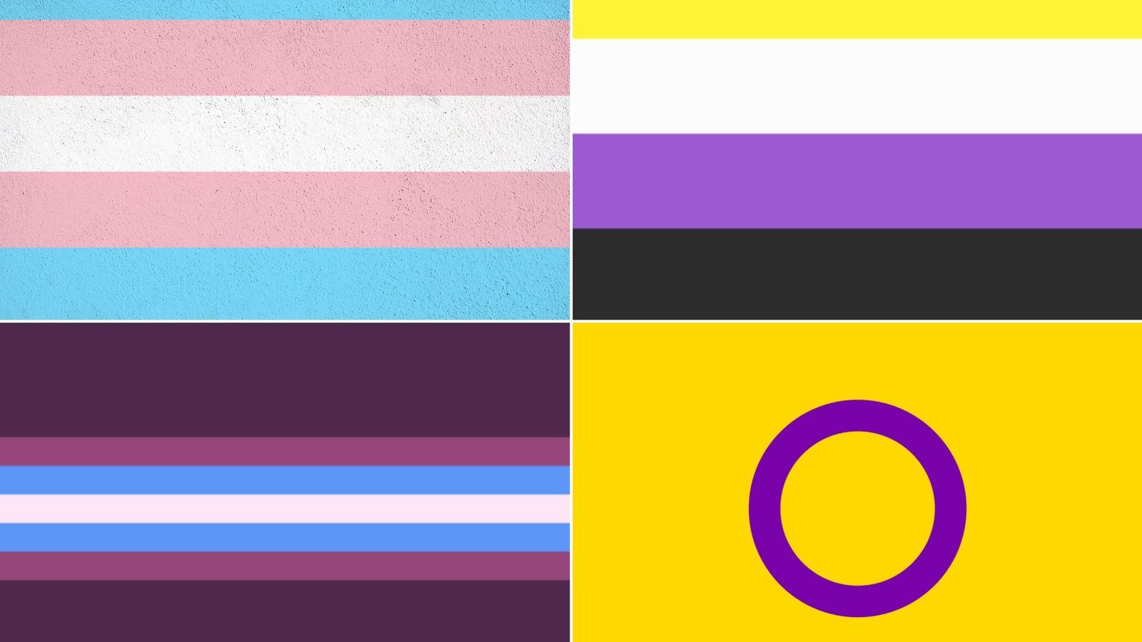 1600x900 Resources For Transgender, Nonbinary, Gender Nonconforming, And Intersex Students. Hey BU Blog