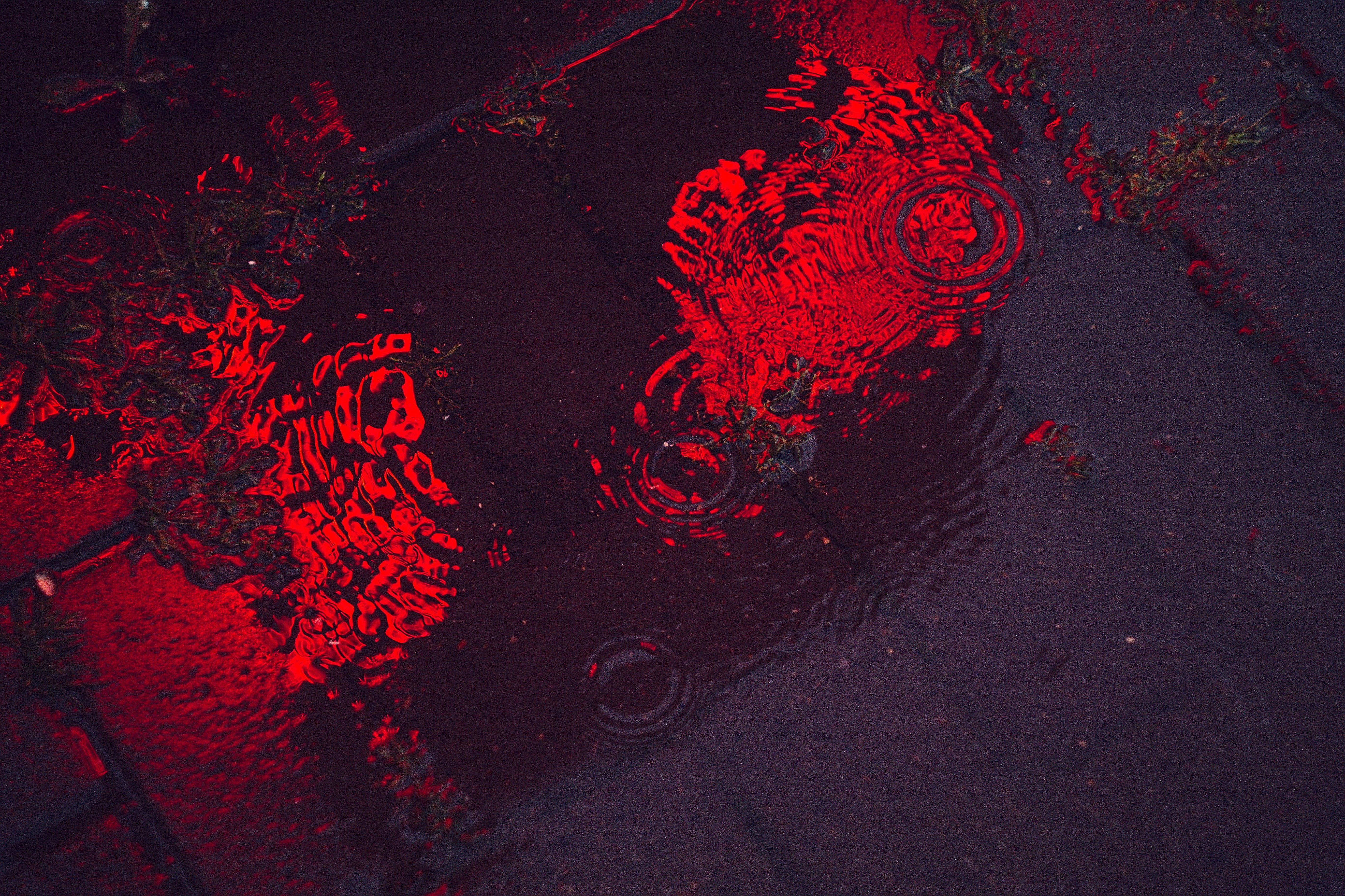 5472x3648 Blood Rain Wallpaper