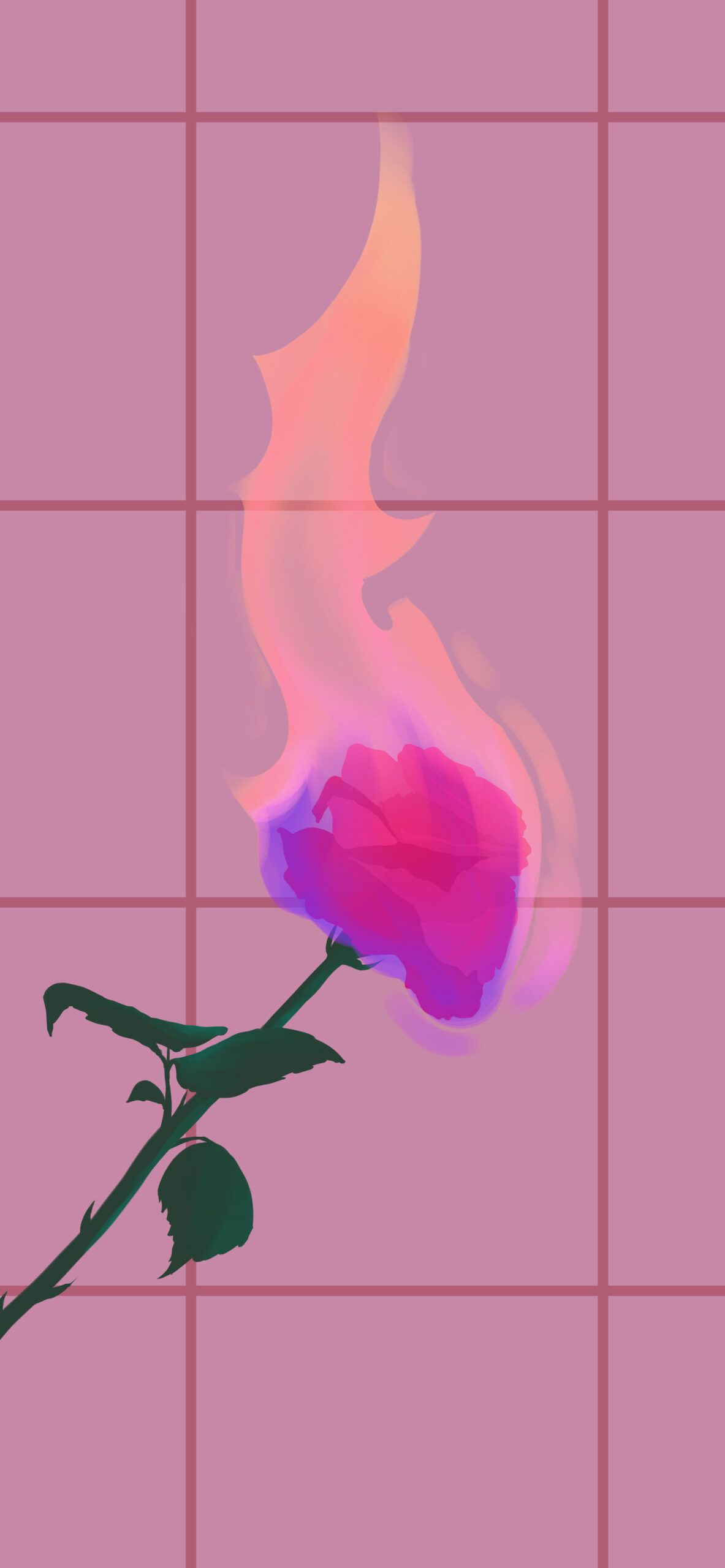 1183x2560 Rose on Fire Pink Wallpaper Pink Baddie Wallpaper