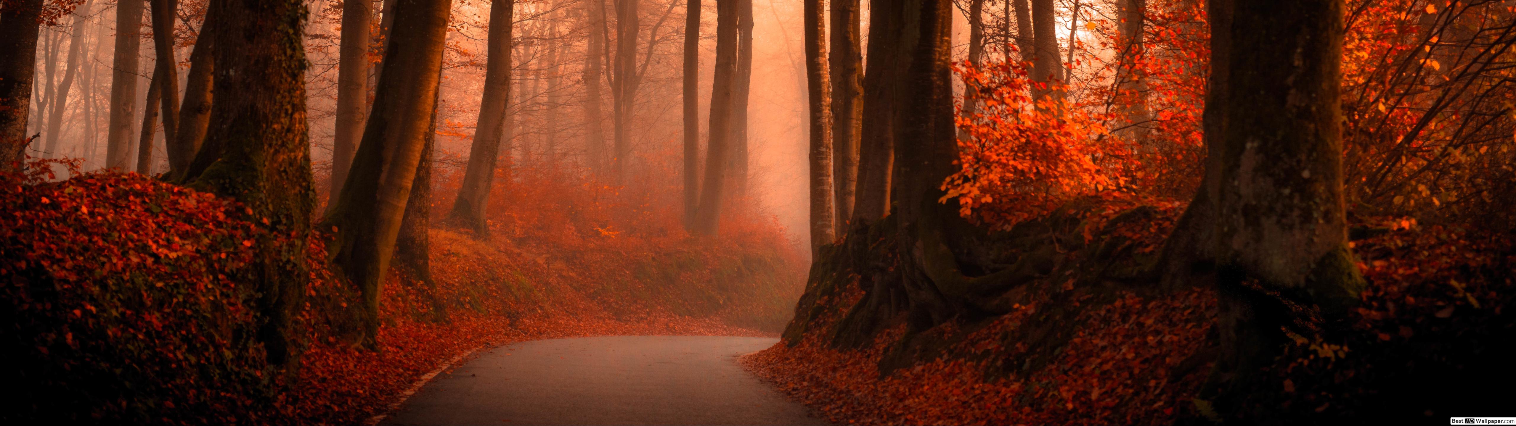 5120x1440 Autumn Wallpaper