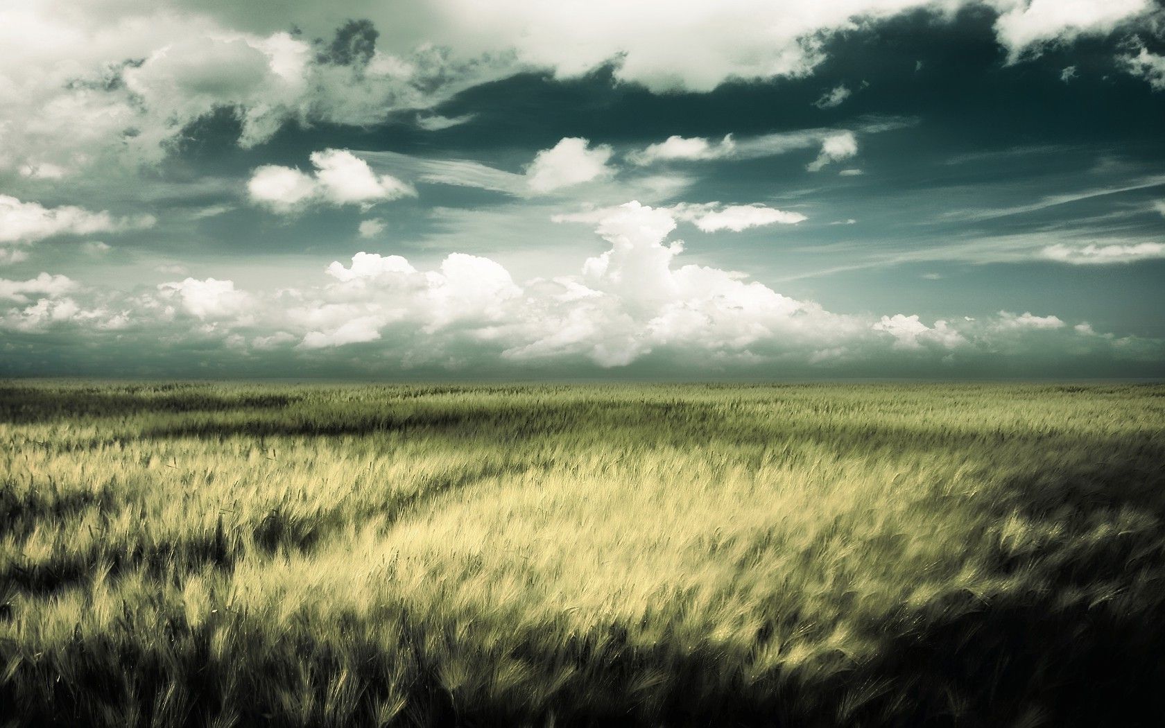 1680x1050 War Field Wallpaper