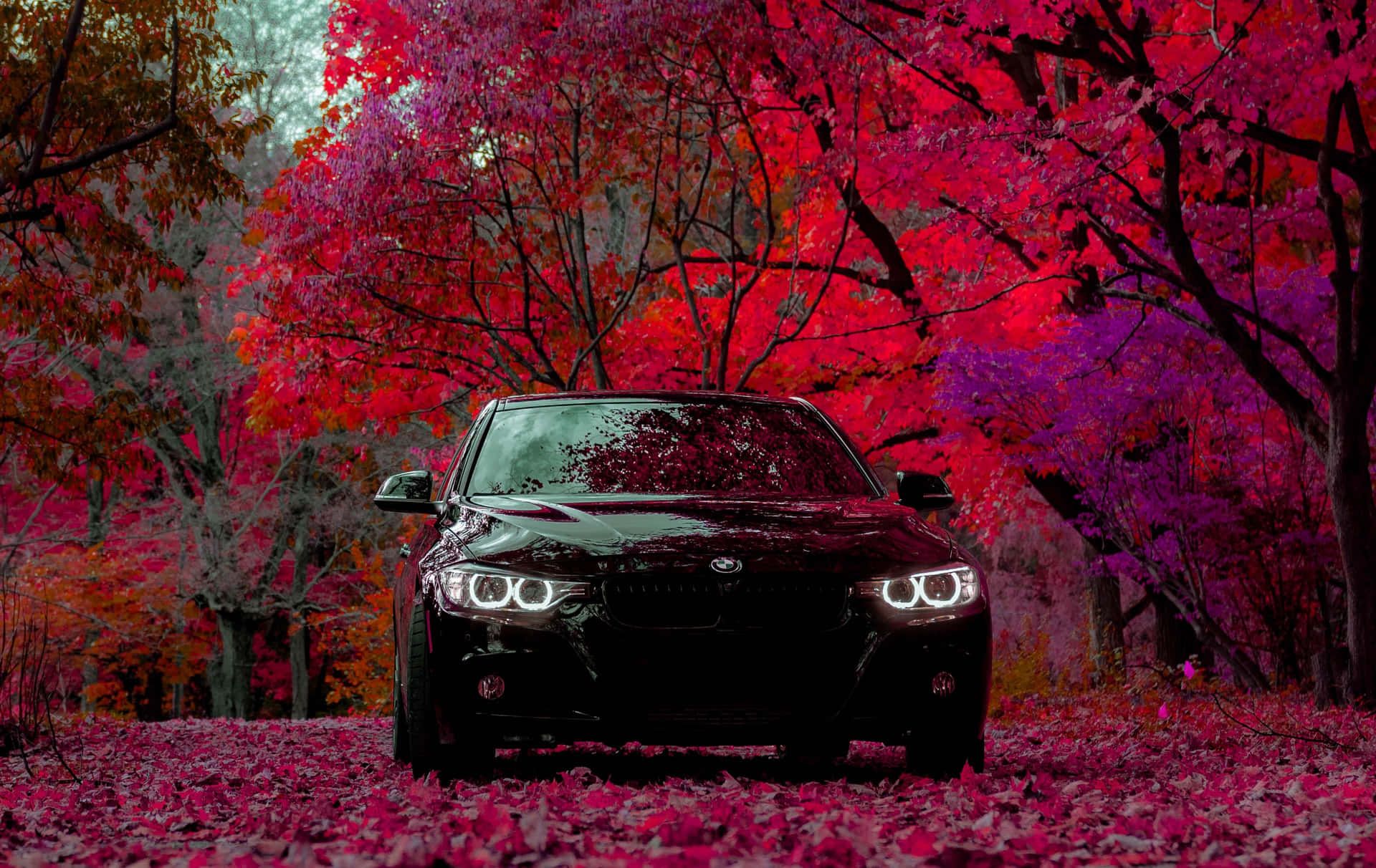 1920x1212 Download Bmw X5 HD Wallpaper, Bmw X5 Wallpaper, Bmw X5 Wallpaper, Bmw X5 Wallpaper