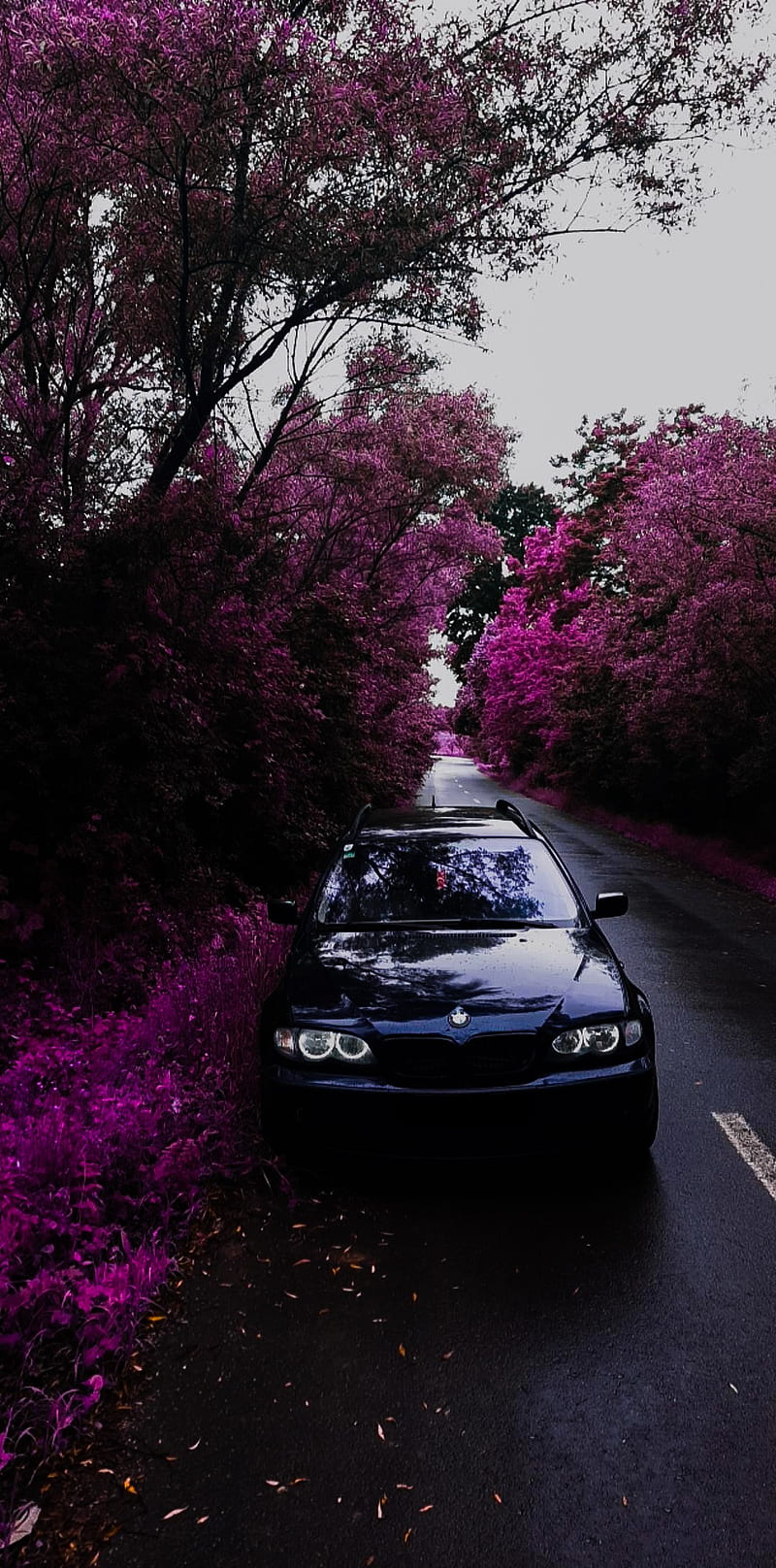 800x1616 Bmw E46 Purple love, carros, sport, HD phone wallpaper