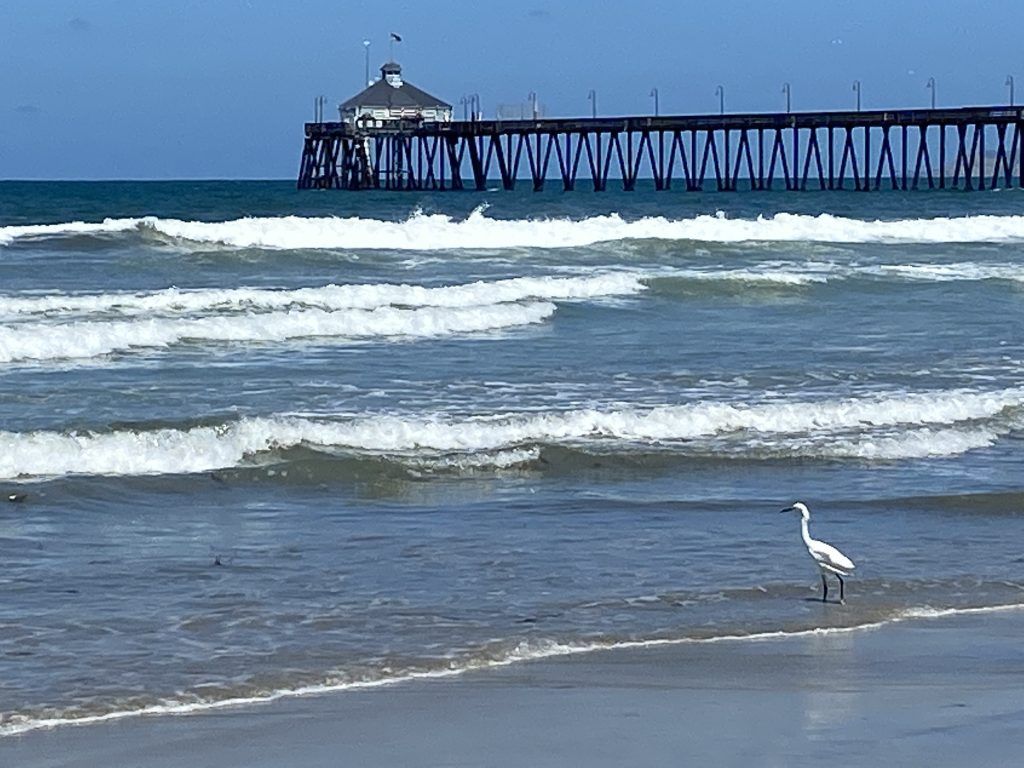 1024x768 Visit Imperial Beach, San Diego, CA