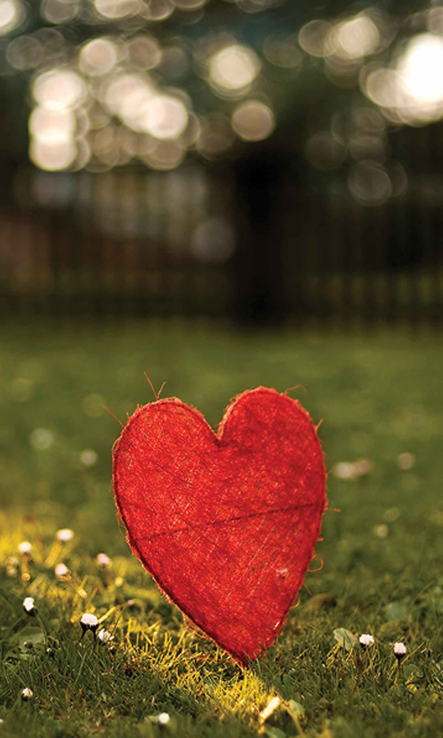 1536x2560 I Gave You My Heart Mobile Wallpaper