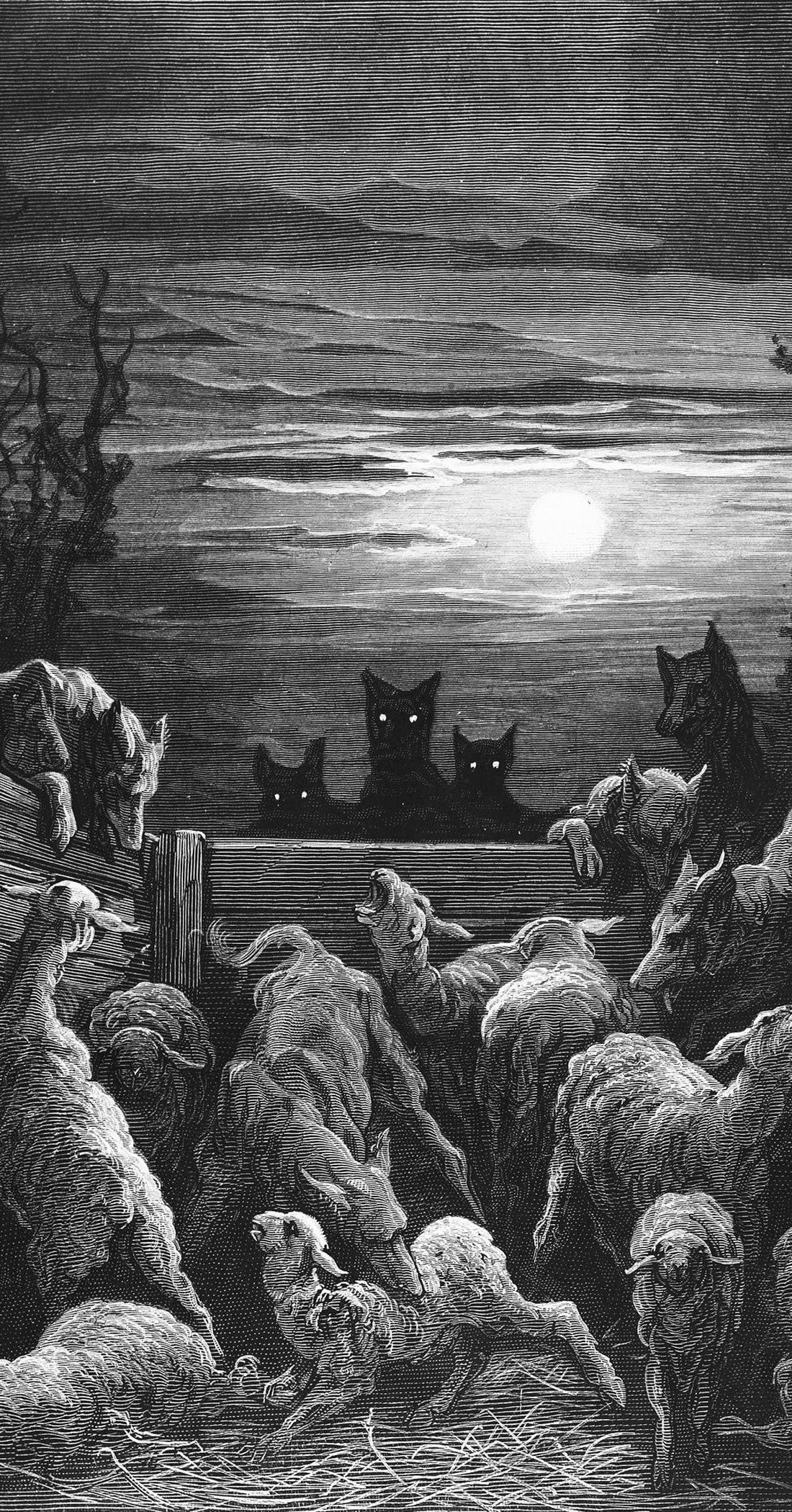 1100x2100 The Wolves and The Sheep