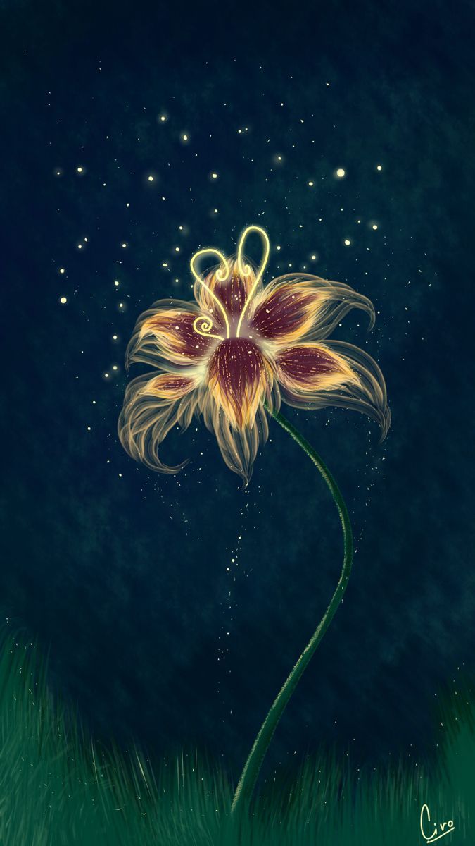 675x1200 Flor rapunzel