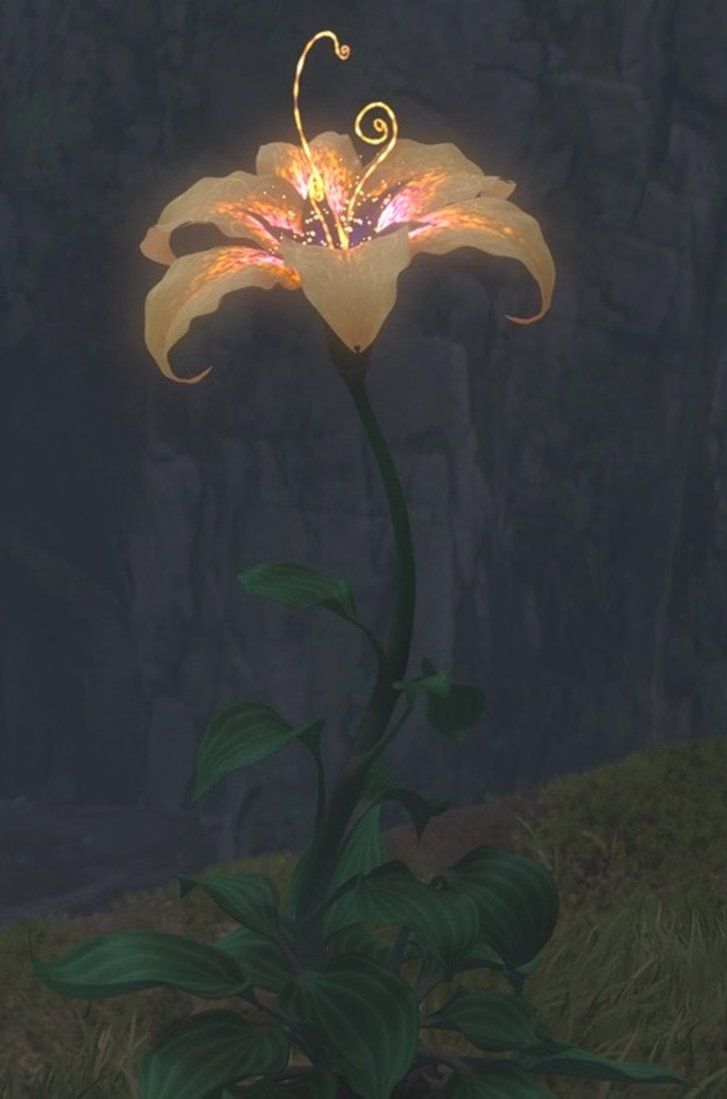 727x1099 Rapunzel's Magic Golden Flower