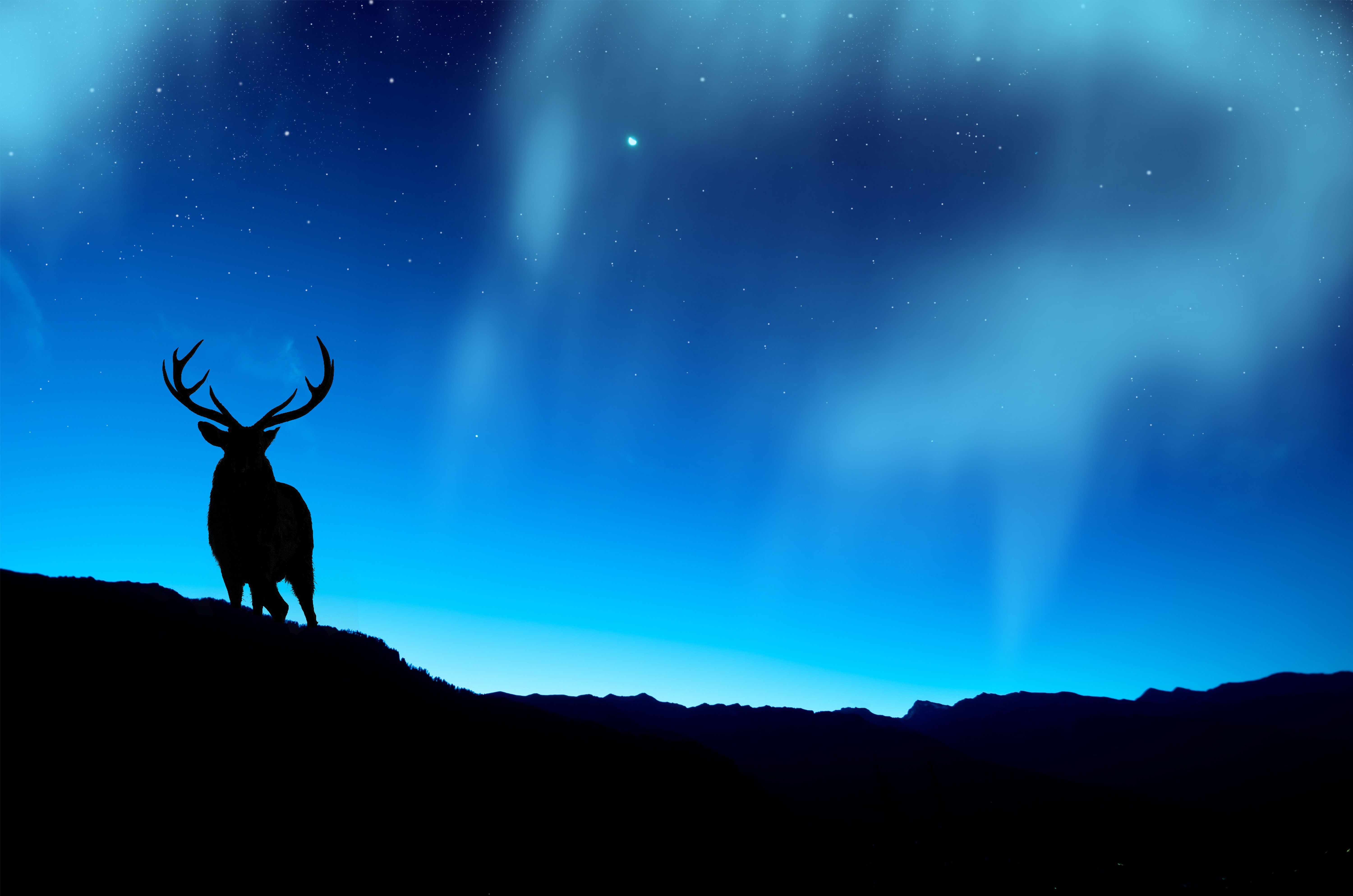 6000x3974 Majestic Deer Under Northern Lights Ultra HD Wallpaper