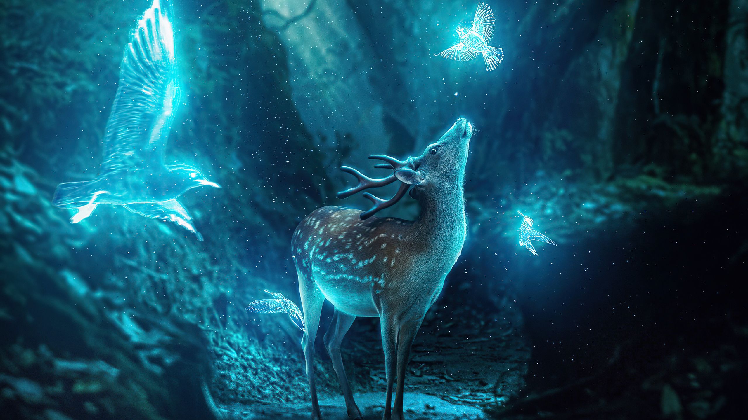 2560x1440 Download Deer, Magic, Birds, Neon, Glow, Nature Wallpaper in 2560x1440 Resolution