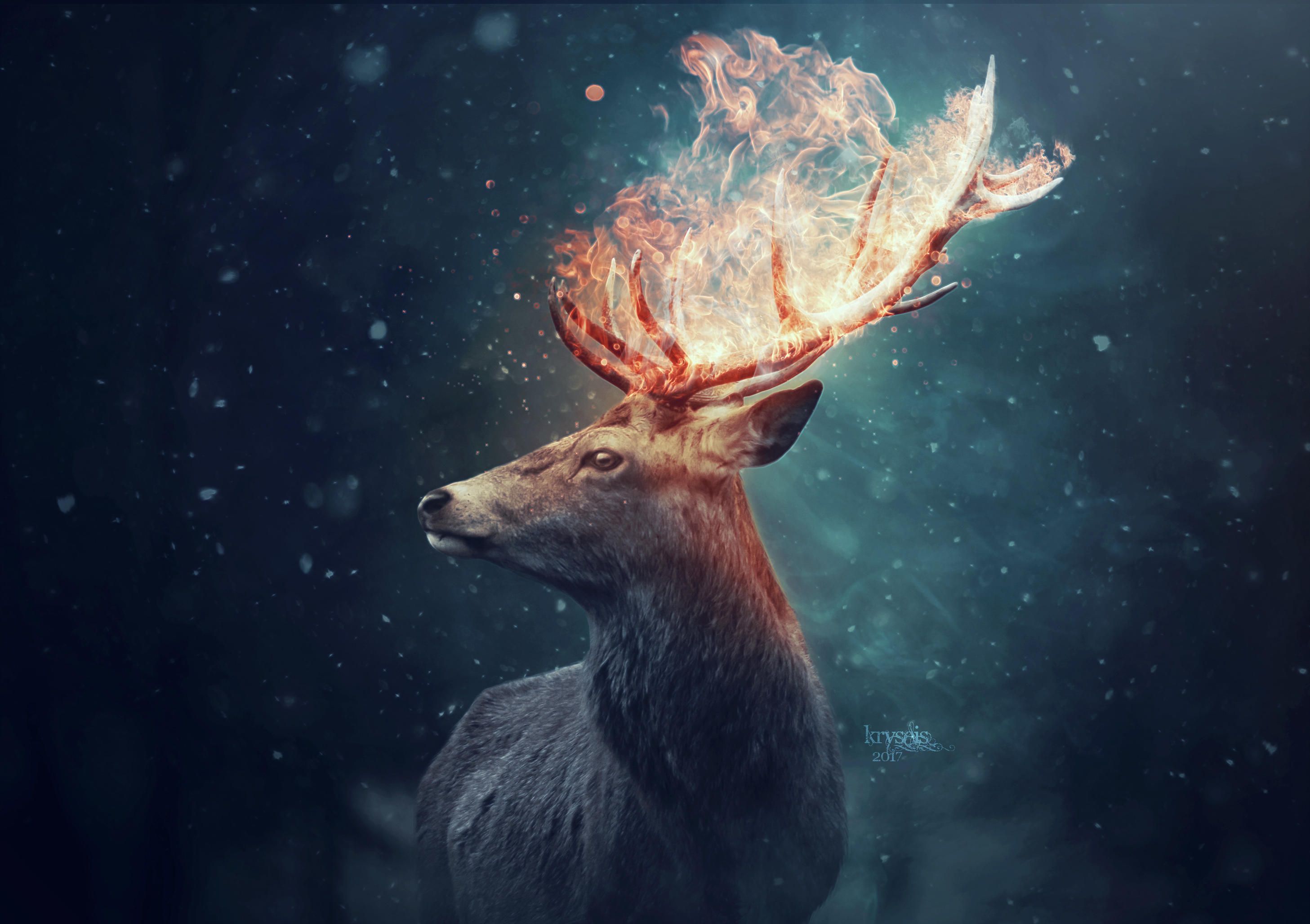 2914x2057 Wallpaper Brown Deer With Blue and Red Lights, Background Free Image