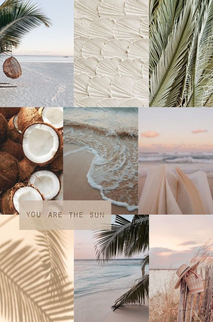 736x1113 Beach Aesthetic Collage