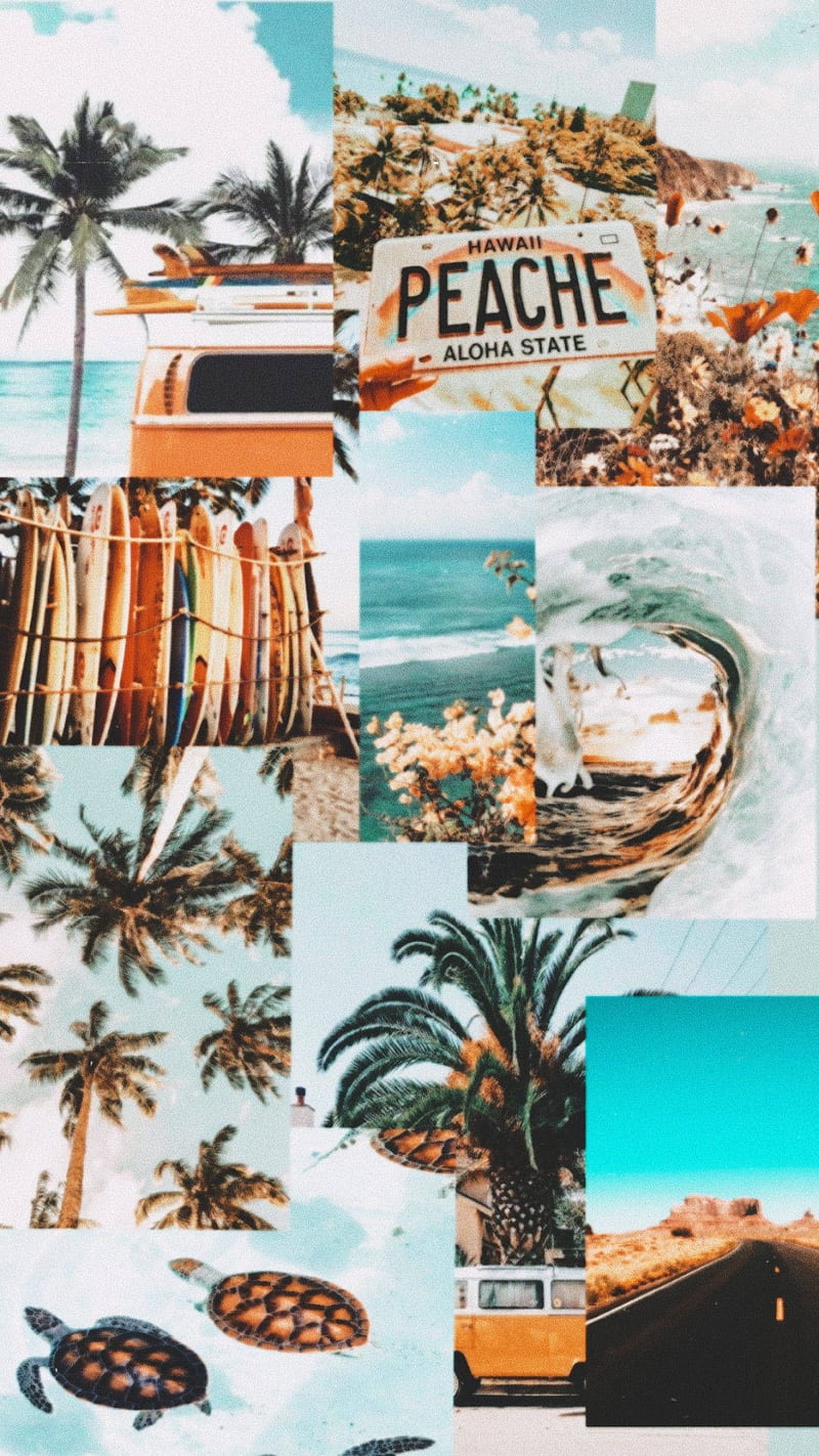 800x1422 Summer Aesthetic Beach Vibe Collage, Hawaii Aesthetic, HD phone wallpaper