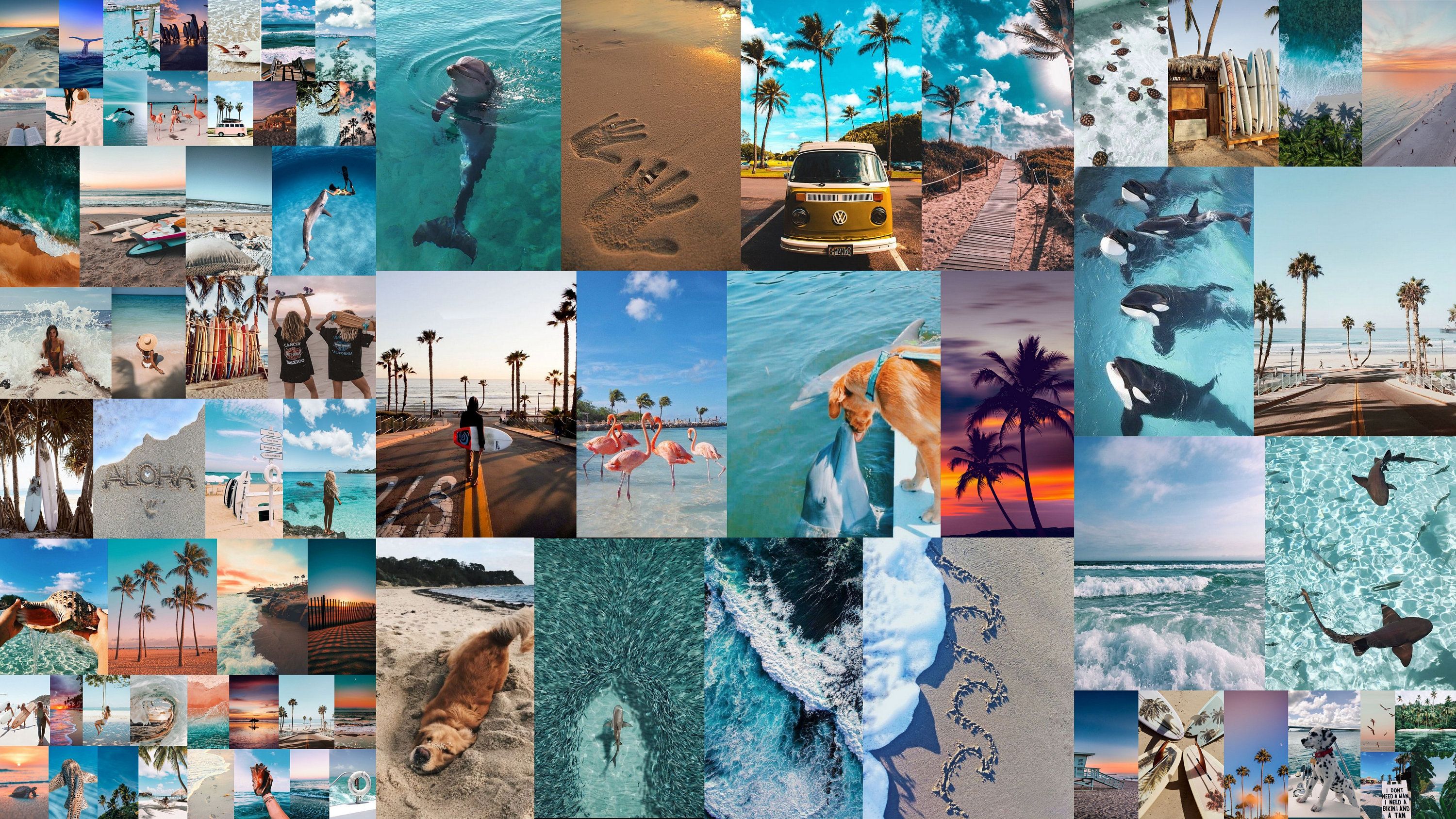 3000x1688 Beach Aesthetic Paradise Wall Collage Kit 75 Pieces