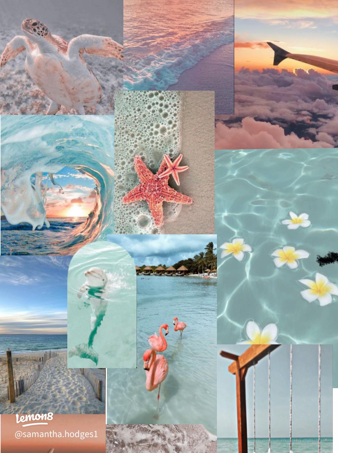 1170x1564 Cute Beach & Aesthetic Summer Wallpaper for Your Phone!