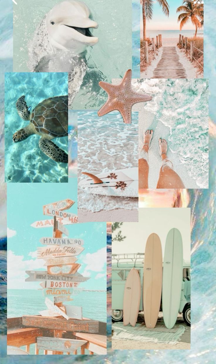 736x1243 Beach collage
