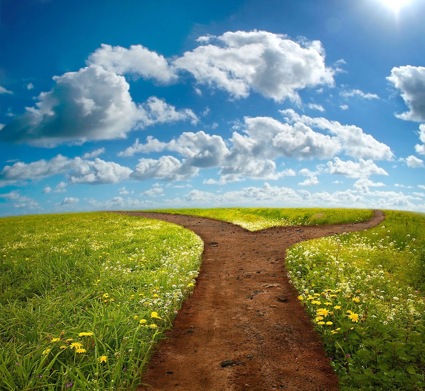 1428x1315 The Road Not Taken: PhD Training, Academia & Alternative Careers