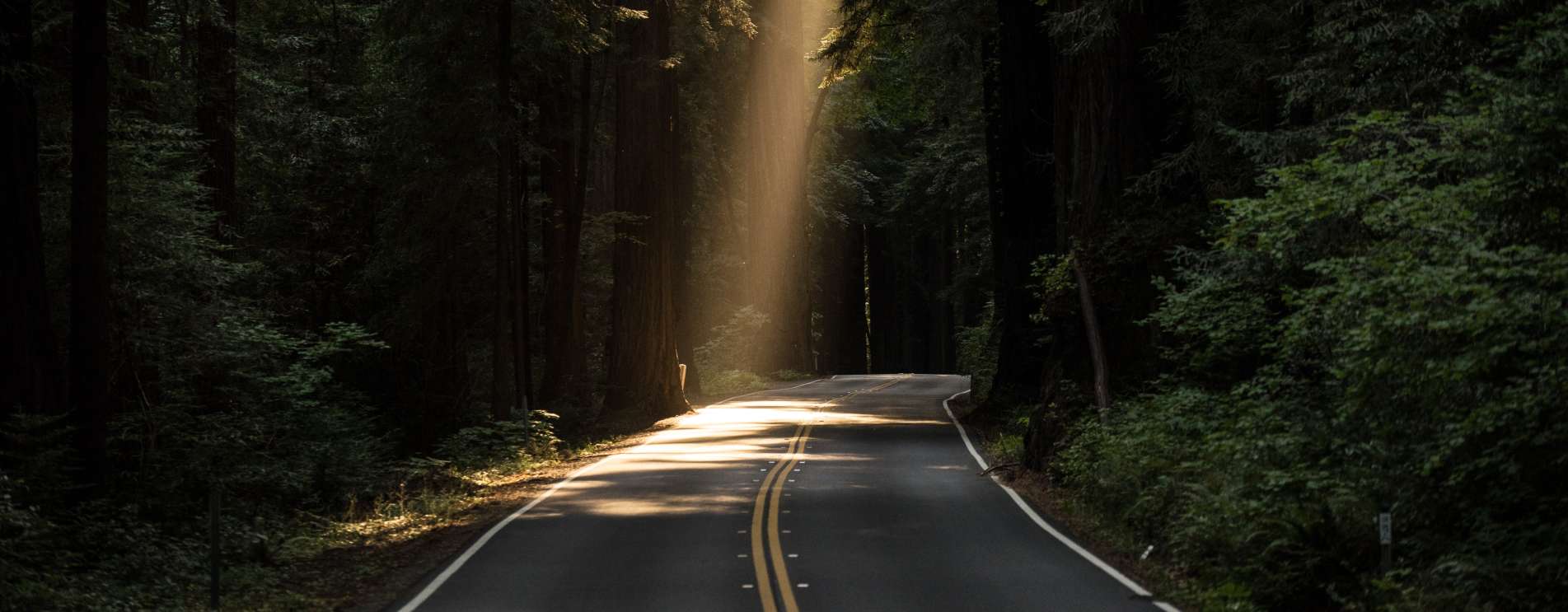 1903x743 Plan your trip to Fresno County. Stay near Yosemite