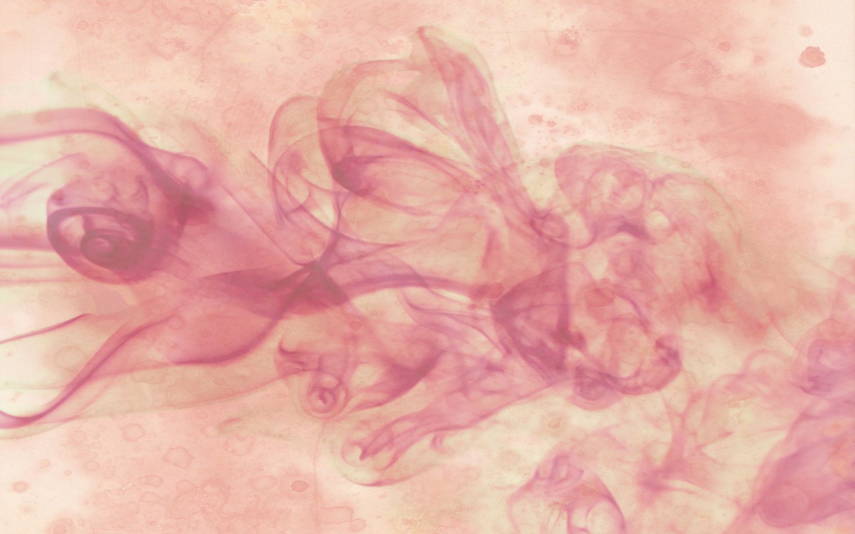 1680x1050 Pink Smoke 4K UHD Wallpaper for UltraHD Desktop and TV : Smartphone and Tablet Devices