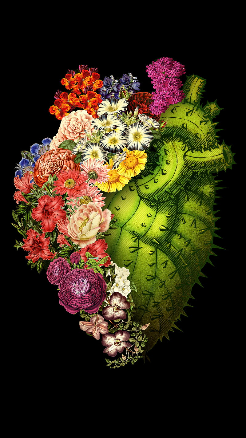 800x1422 Healing Heart, Tobe, cactus, floral, flowers, love, nature, spring, HD phone wallpaper