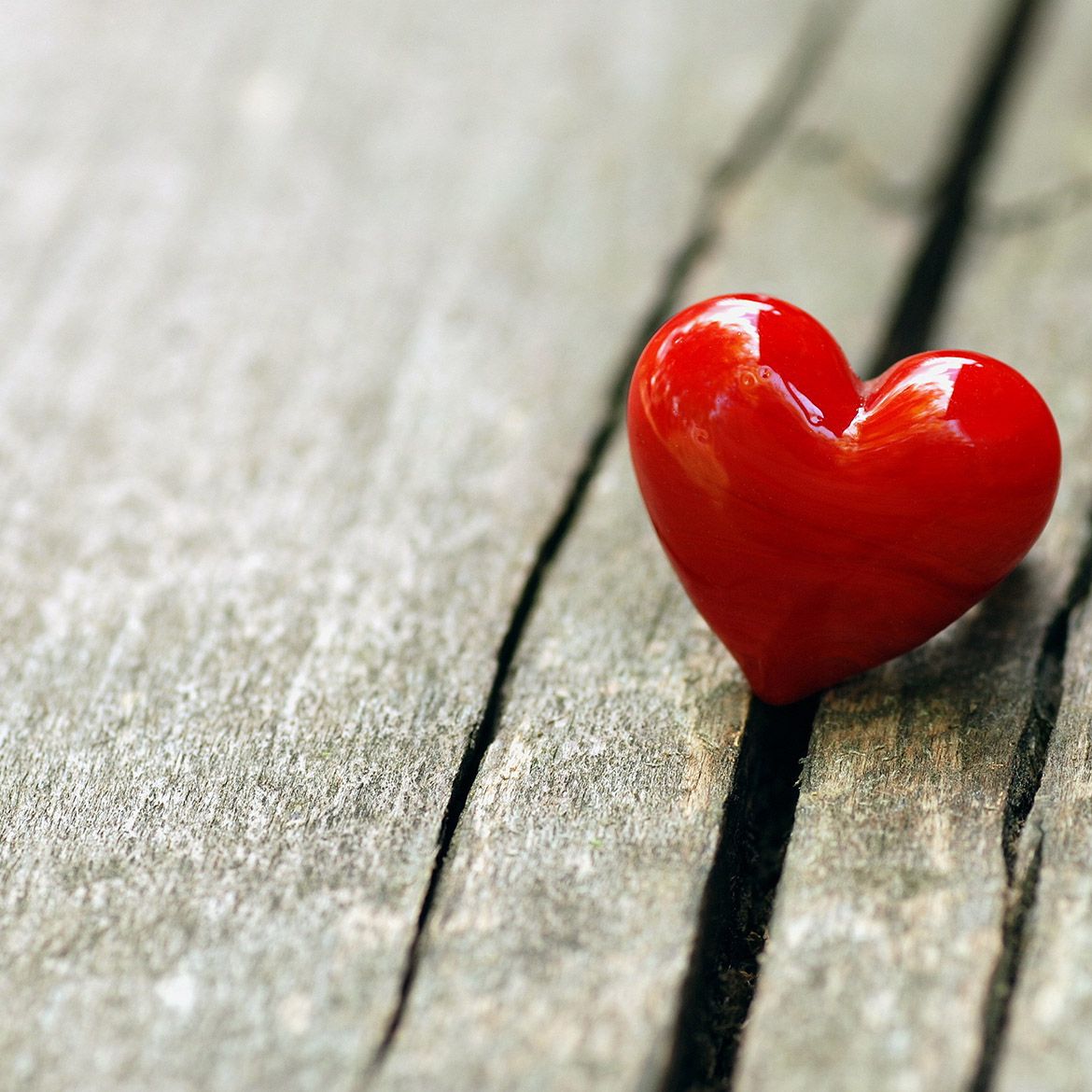 1170x1170 Valentines Day 2022 Special Offer. Woodlands Healing Spa