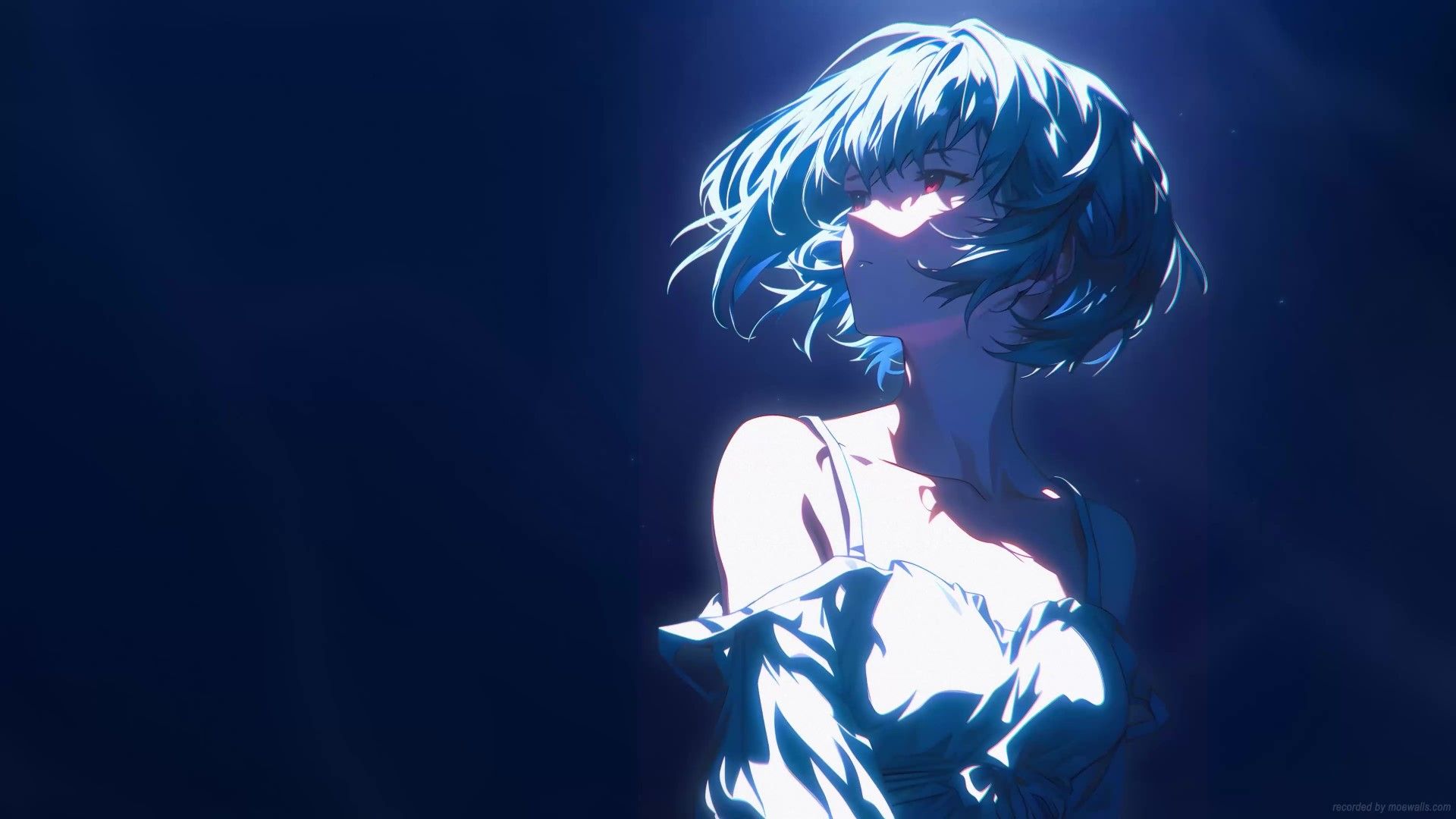1920x1080 Ayanami Rei Neon Genesis Evangelion Live Wallpaper