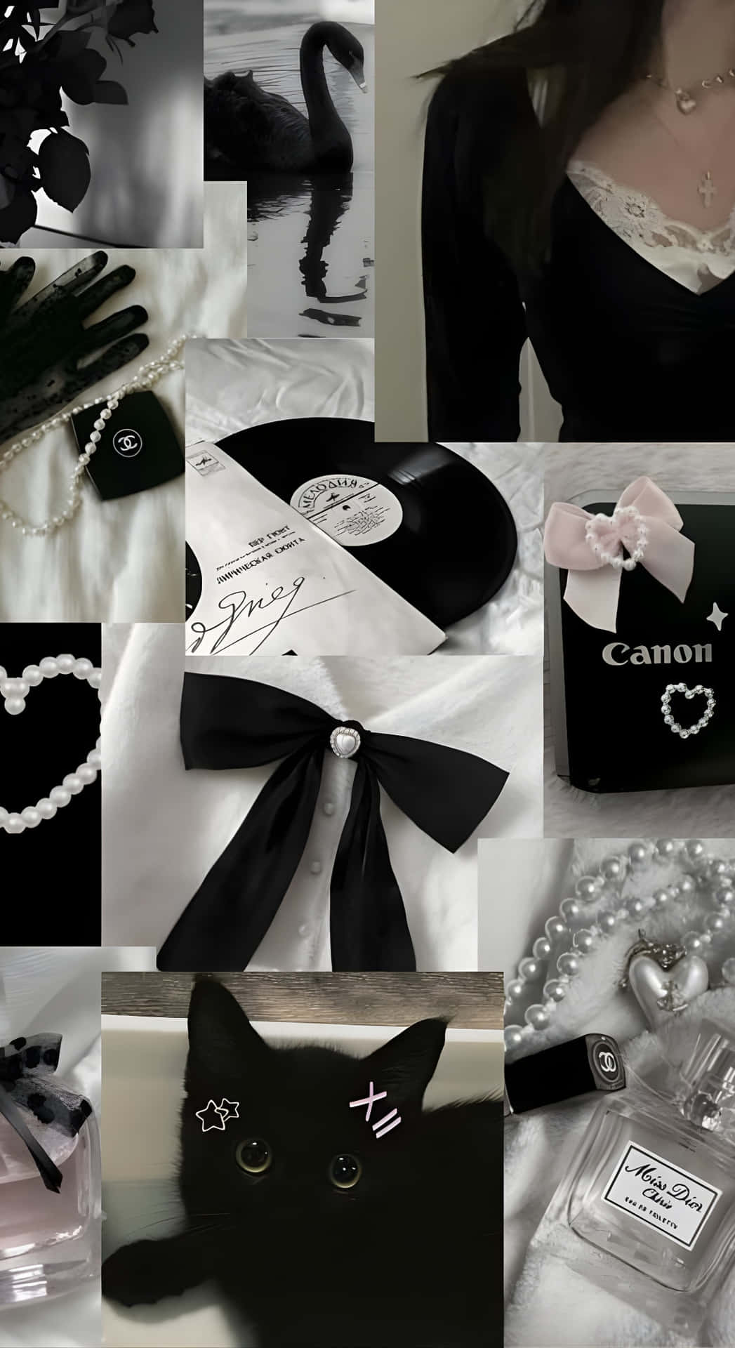 1047x1920 Download Dark Coquette Style Inspiration Wallpaper