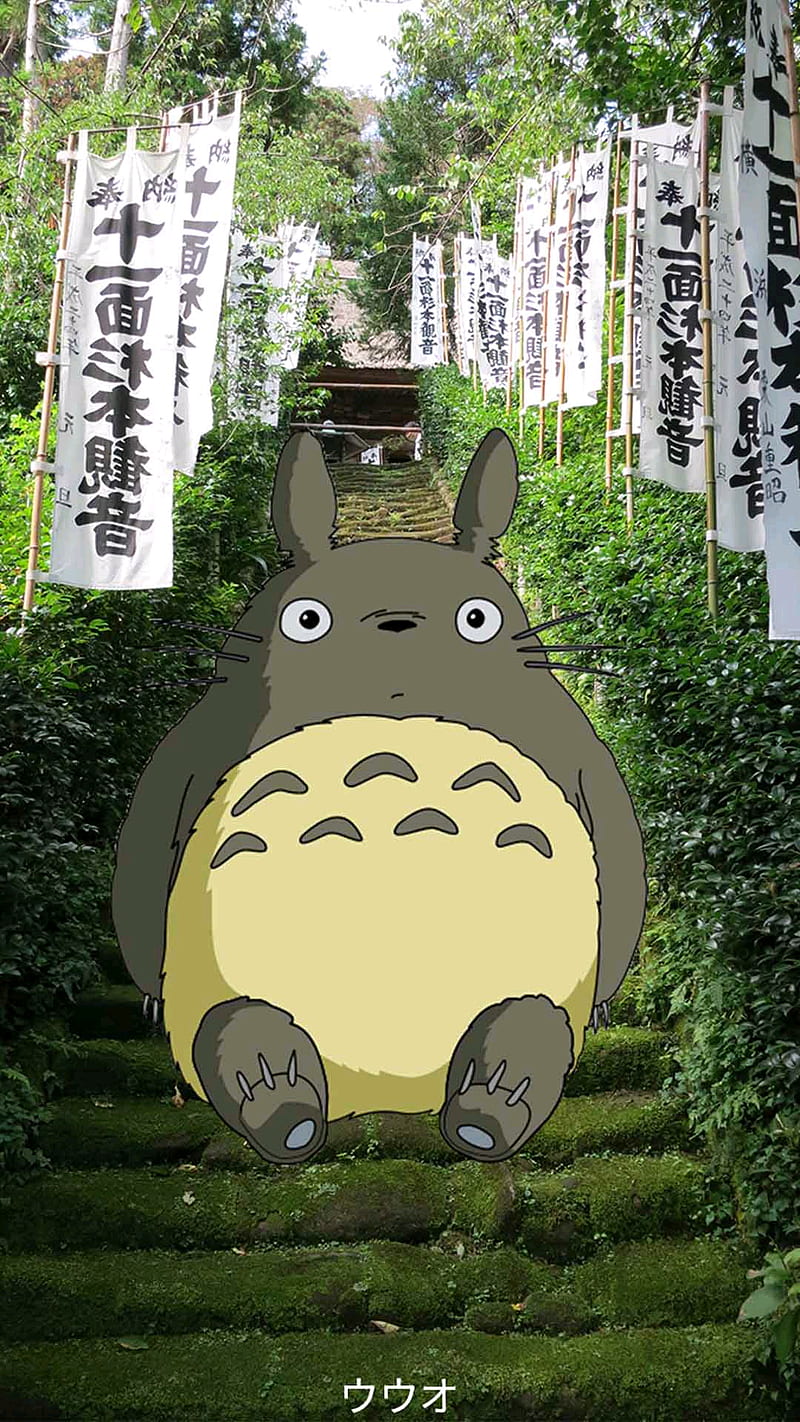 800x1422 Totoro, real anime, studio ghibli, HD phone wallpaper