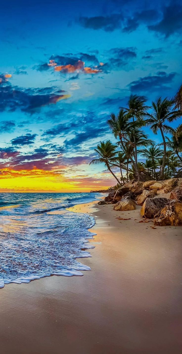 736x1431 Beach