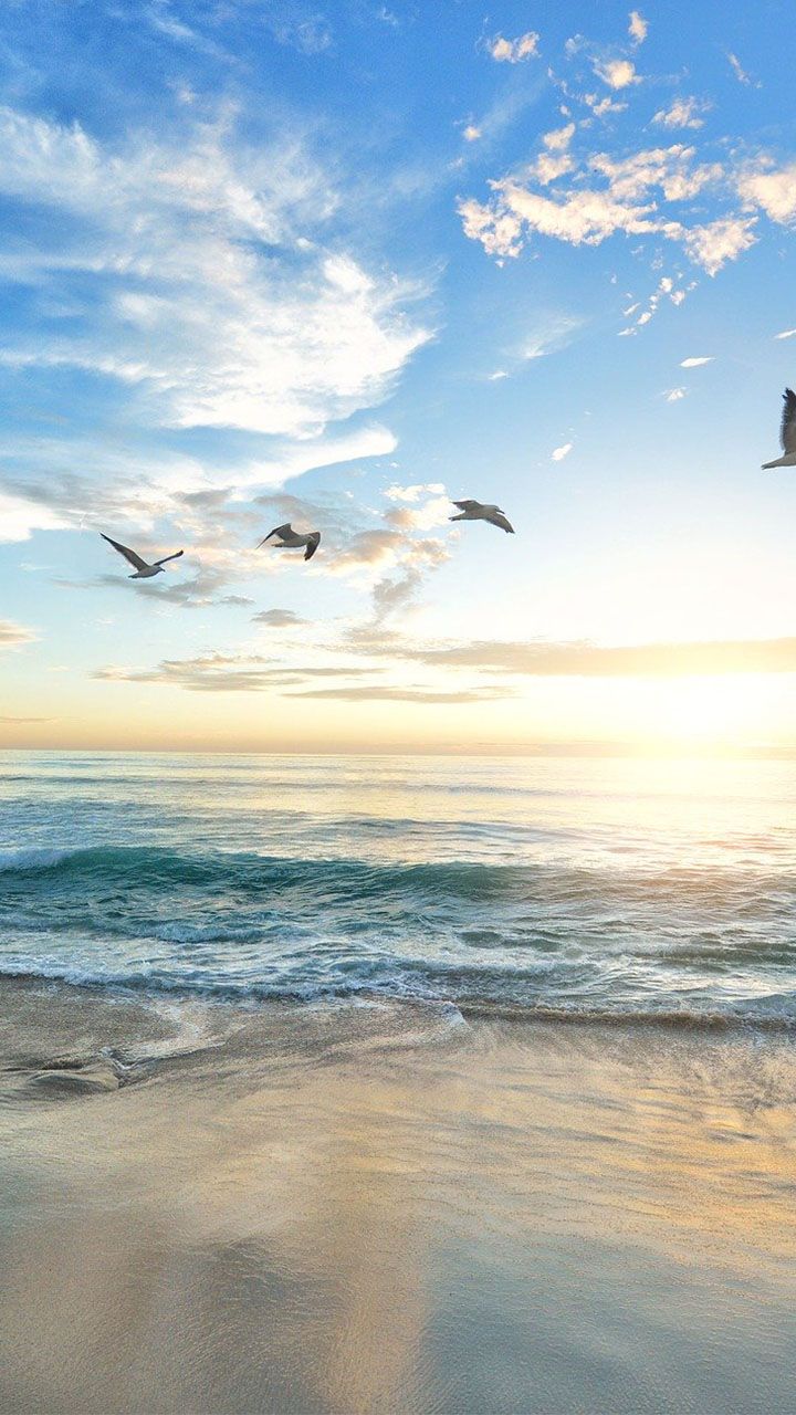 720x1280 Beach wallpaper and background free HD on Amazon Appstore