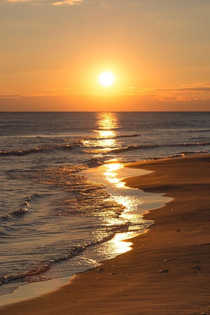 736x1104 The Sand, Beach & Ocean
