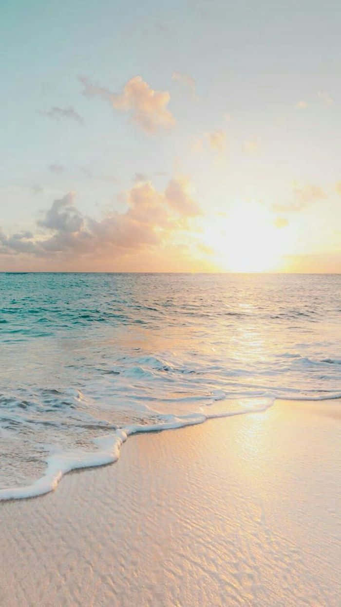 700x1244 Cute Sea Wallpaper
